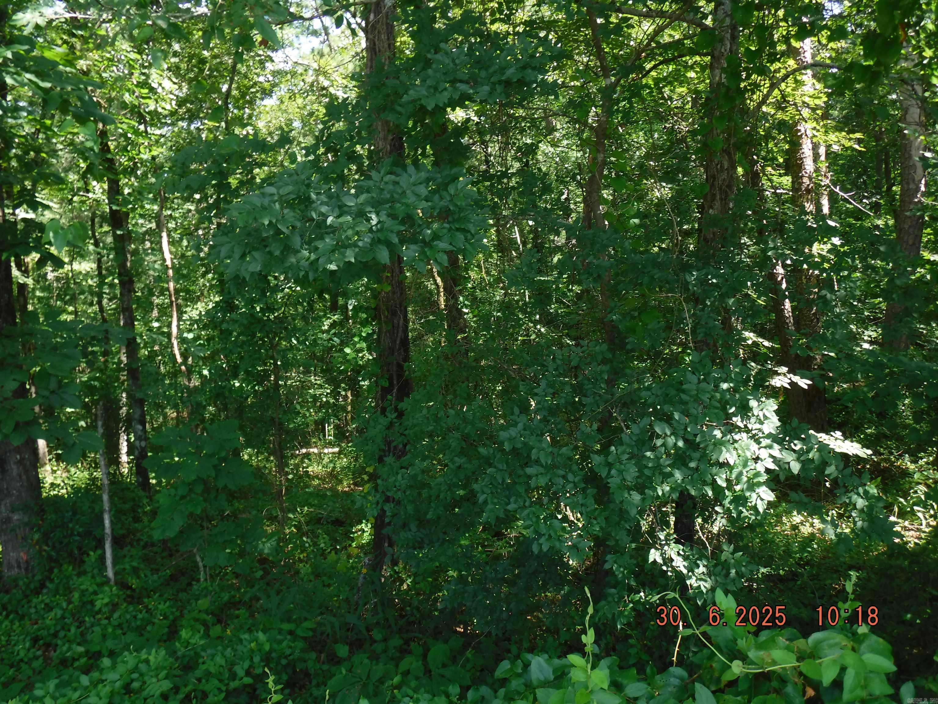 Vacant lot in Lake Hamilton School district. No utilities on property. Bring your home plans or mobile home.