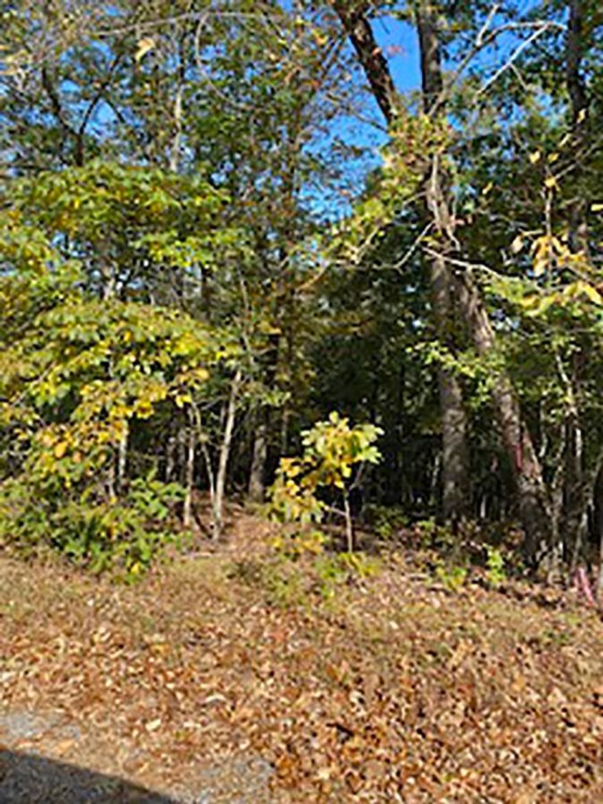 Side by Side, Undeveloped South Fork River Bluff Lots - Wonderful place to build your year-round get away place. Great view every season! Enjoy 2 Rivers, 7 lakes, several walking trails, numerous parks, shopping, recreational Centers, and 2 Champion Golf Courses with owning this property.