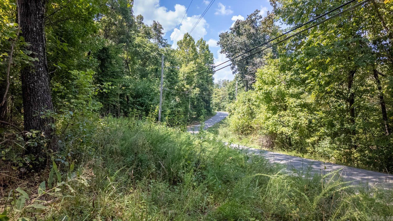 PARNELL SPRING RIVER - Land