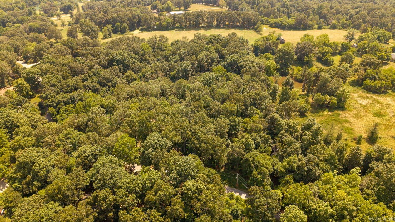 PARNELL SPRING RIVER - Land