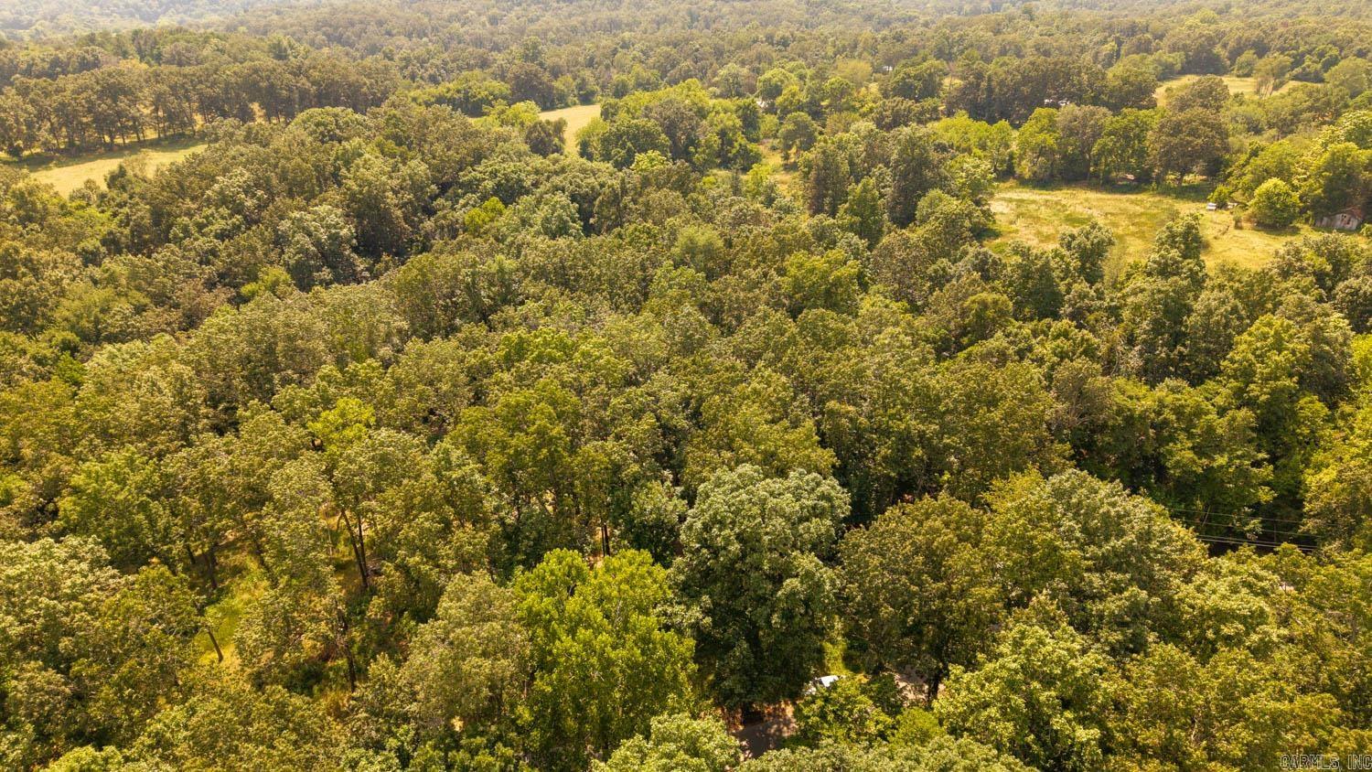 PARNELL SPRING RIVER - Land