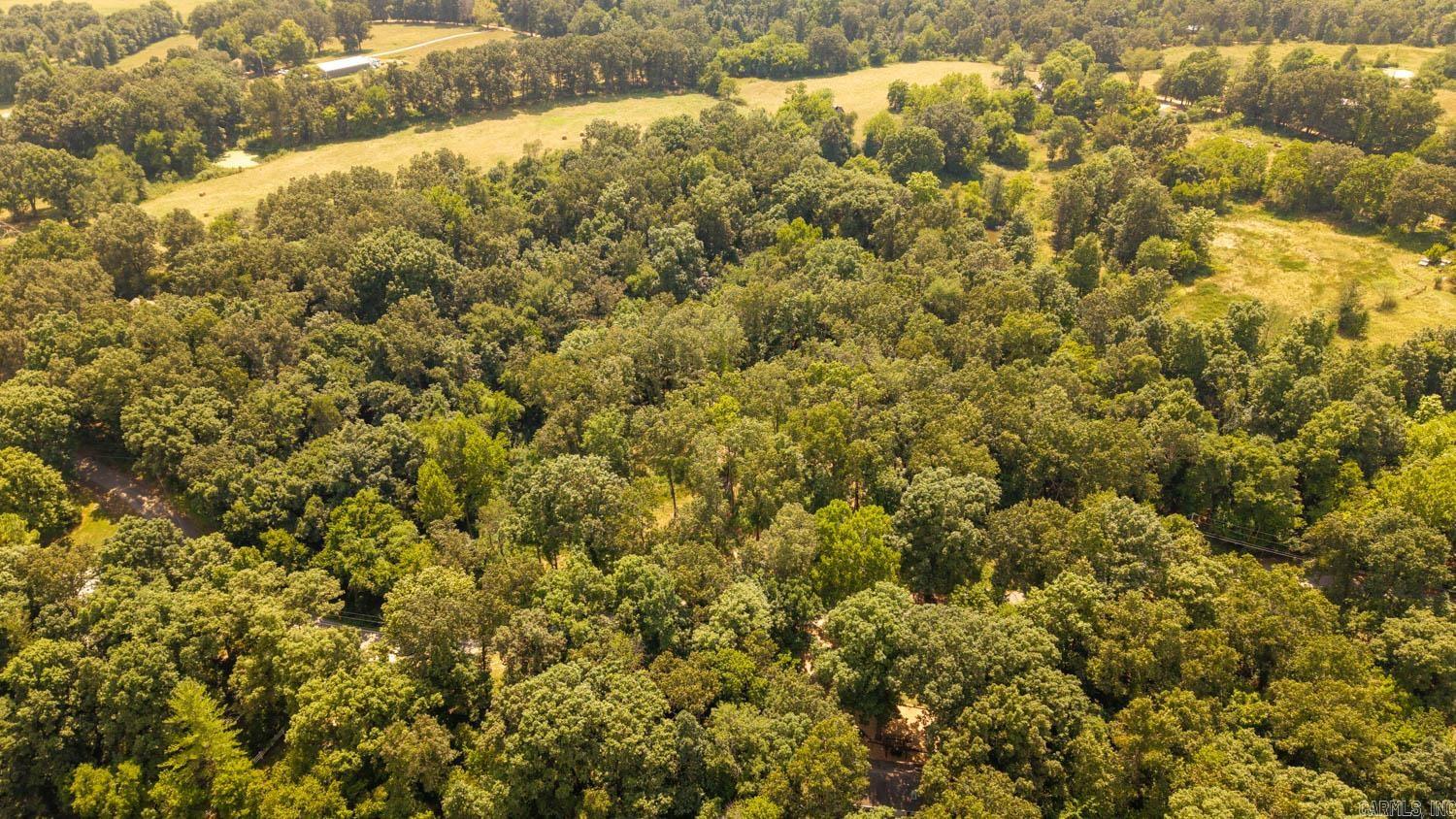 PARNELL SPRING RIVER - Land