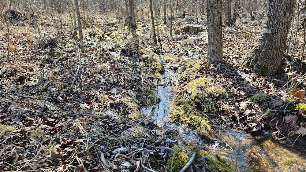 Not in Subdivision - Land