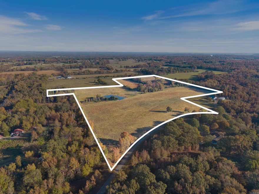 Discover the perfect setting for your dream home on this +/- 43 acres of prime land featuring a beautiful pond. This stunning property offers the ideal blend of open space and natural beauty, providing endless opportunities for building, recreation, or future investment. Enjoy the peace and privacy of country living while still being conveniently located near town. Don’t miss your chance to own this incredible piece of land and make it your own.