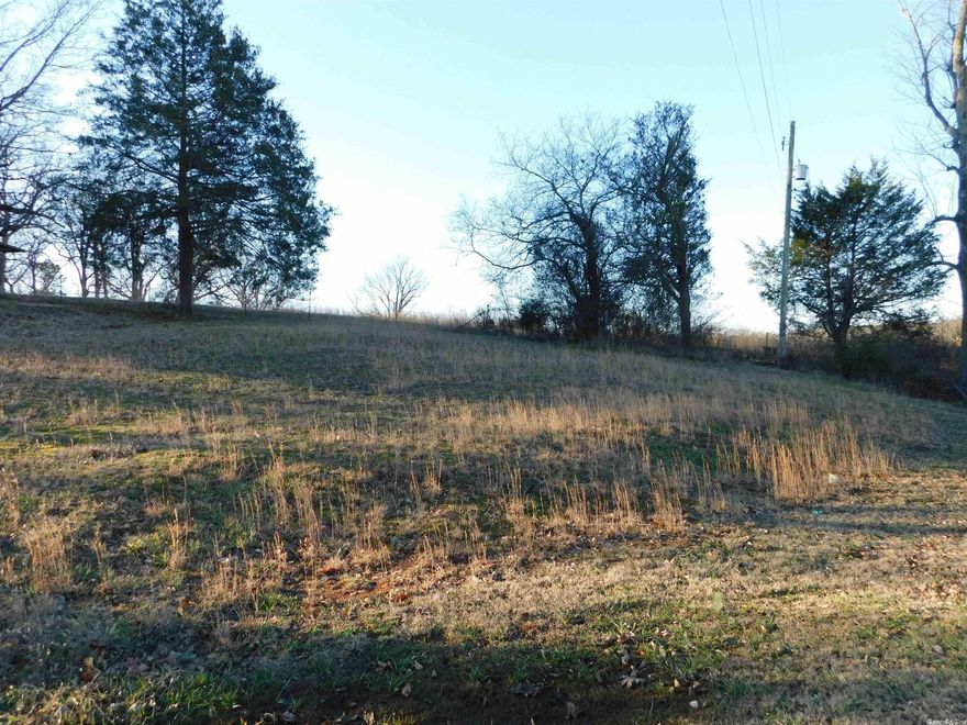 .107 of an acre, right on Highway 63! Very high traffic, very visible, and very affordable. If you're needing a location that will get a lot of attention, you've found it!