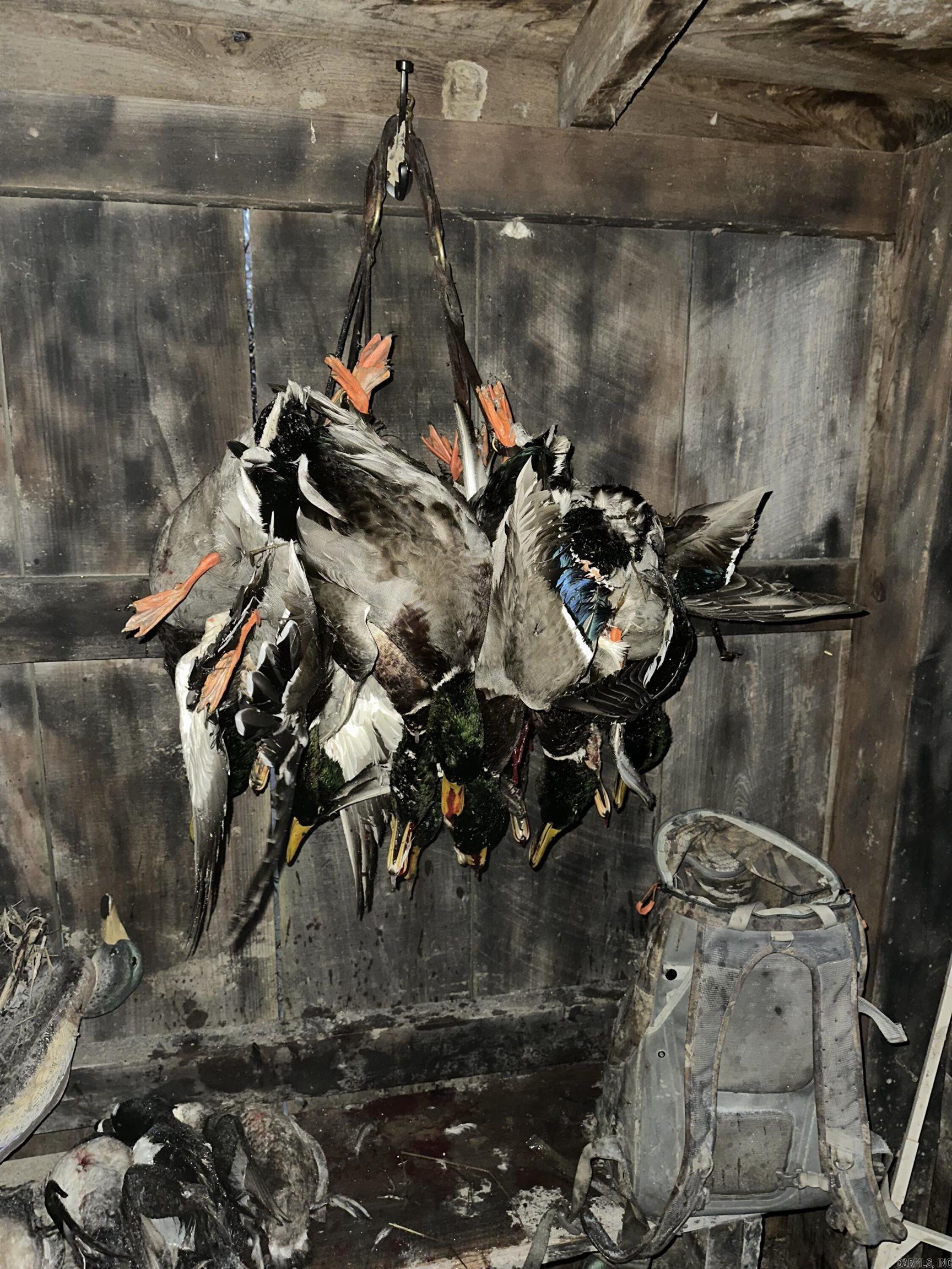 Metes & Bounds - Farm