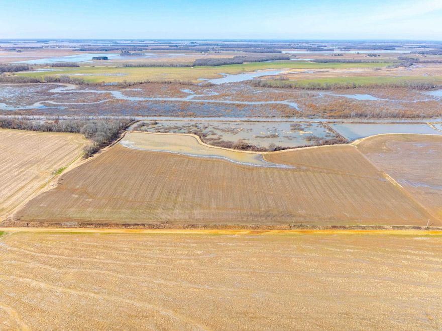 A Waterfowl Hunter’s Dream on Brushy Creek – 41± Acres in the Heart of the Flyway! Located northeast of Fair Oaks and just south of Brushy Creek WMA, this turn-key 41± acre duck and goose hunting property offers everything serious waterfowlers look for—flooded timber, open water, row crop, and managed habitat. A 17± acre flooded reservoir lies at the center, which can be drained and planted in rice to create a natural feeding ground for migrating birds. A permanent duck blind is in place with multiple potential blind sites along the levee and Brushy Creek. With 24± acres of row crop and 5 acres left unharvested each year, ducks and geese return season after season. The electric submersible well provides easy water control—flip a switch to flood fields or thaw ice on cold mornings. The surrounding L’Anguille River wetlands keep birds moving through this region all season long. Set up for mallards, teal, pintails, gadwalls, specklebellies, and snow geese, this property also offers prime dry ground for goose spreads. Plenty of space for a small hunting cabin or weekend retreat. Whether you’re looking for a personal hunting paradise or an investment opportunity!