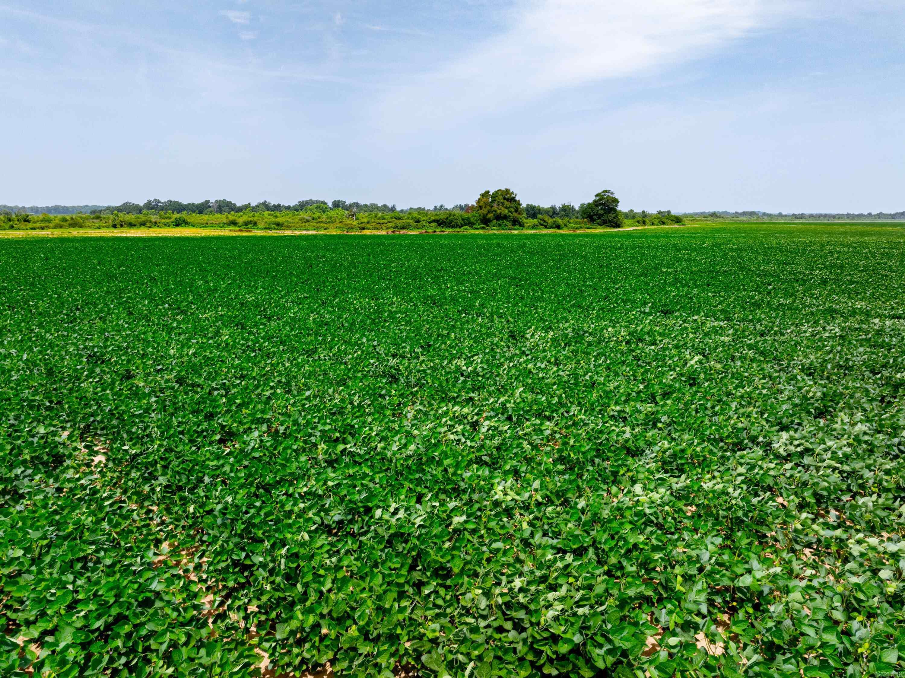 Metes & Bounds - Farm