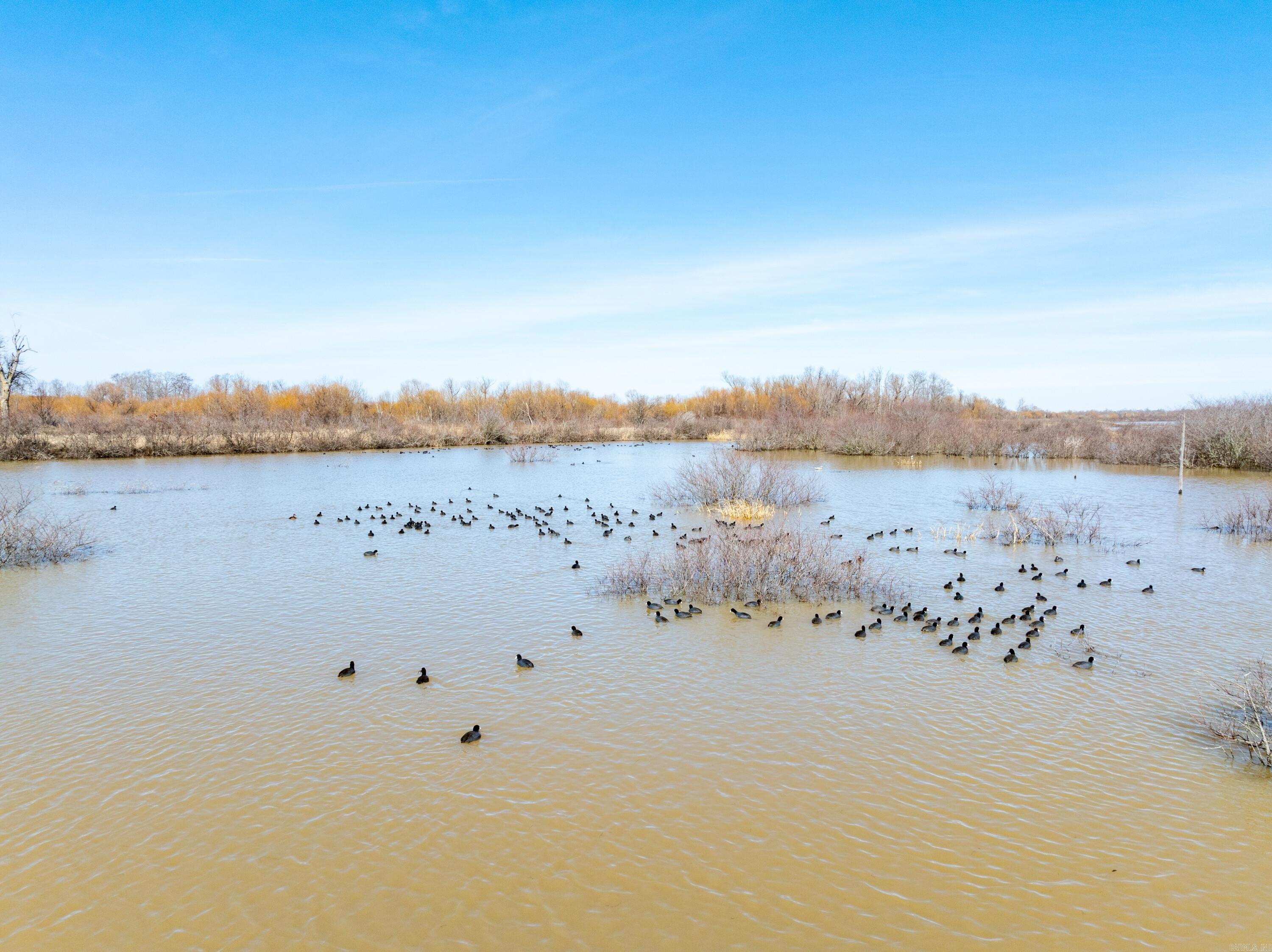 Metes & Bounds - Farm