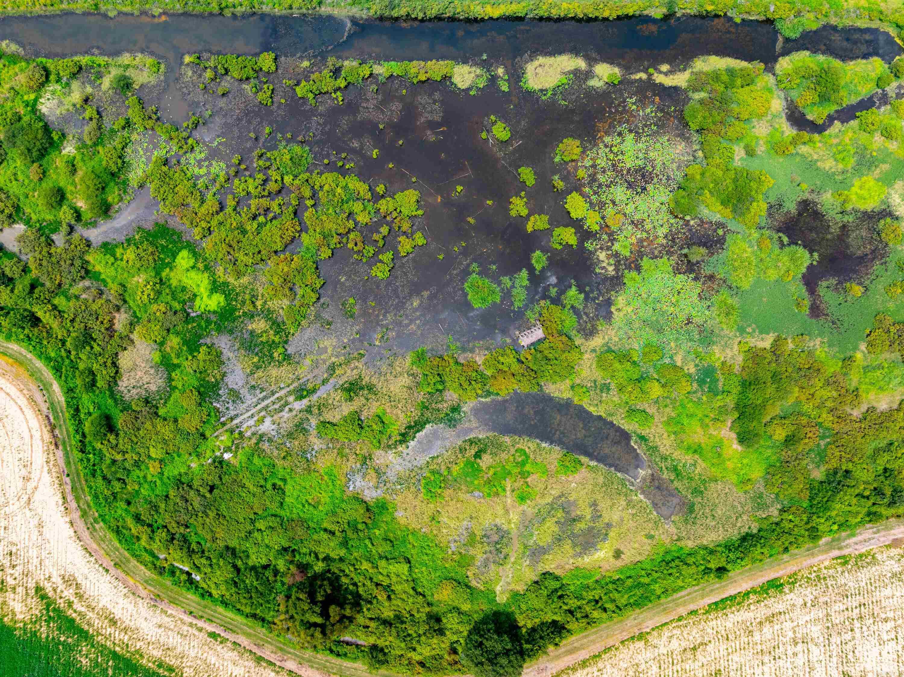 Metes & Bounds - Farm