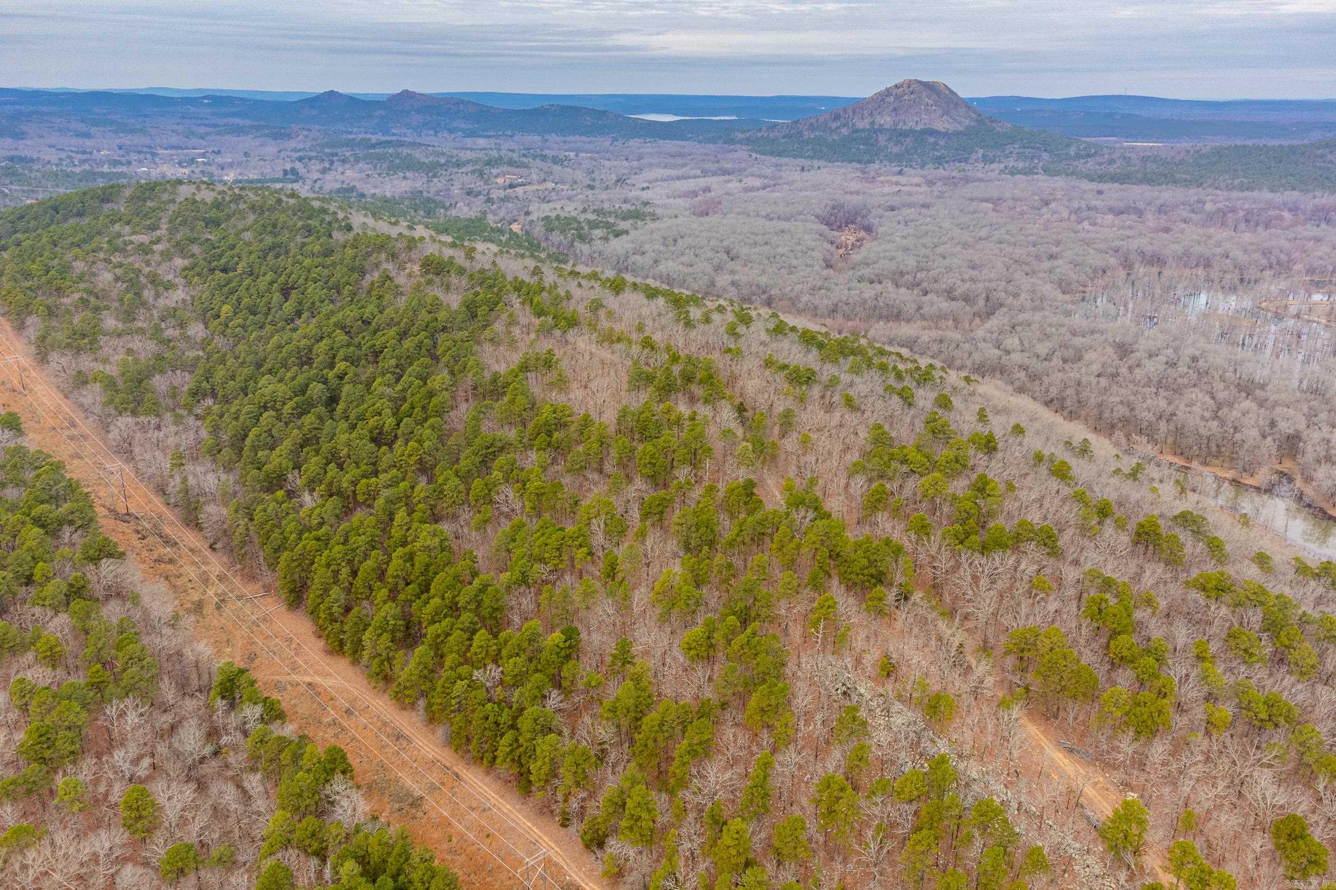 One of the LAST RIDGES undeveloped in Little Rock Area, 142+/- acres with Fabulous Views of Pinnacle Mt and the Little Maumelle River. Would make an amazing subdivision or beautiful estate sites. MANY BEAUTIFUL HOME SITES through out the property. See AGENT Remarks and Call Listing Agent for any questions. Will need 4 Wheel Drive to drive through the property.