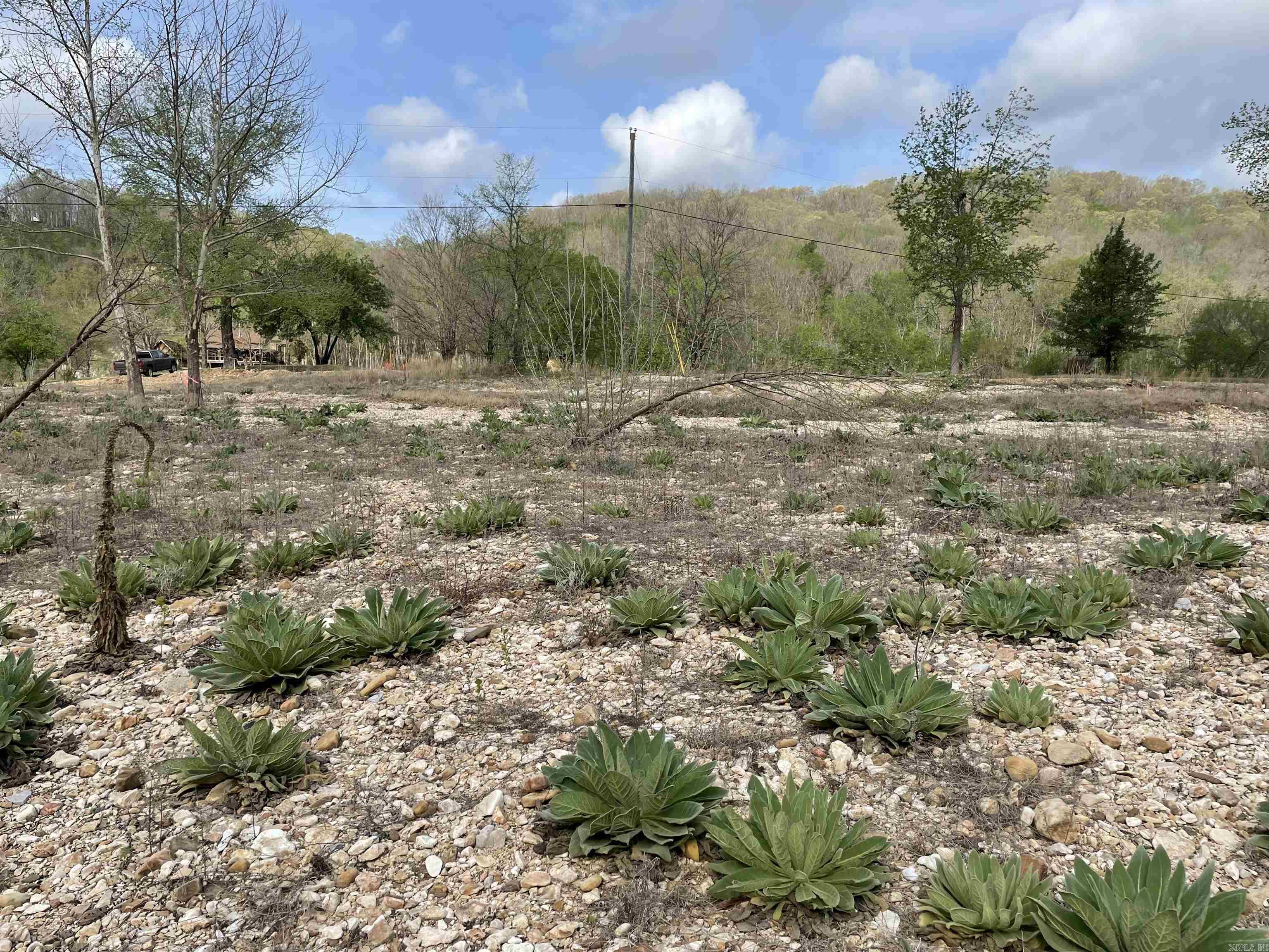 BRANSCUM & TUBBS - Land