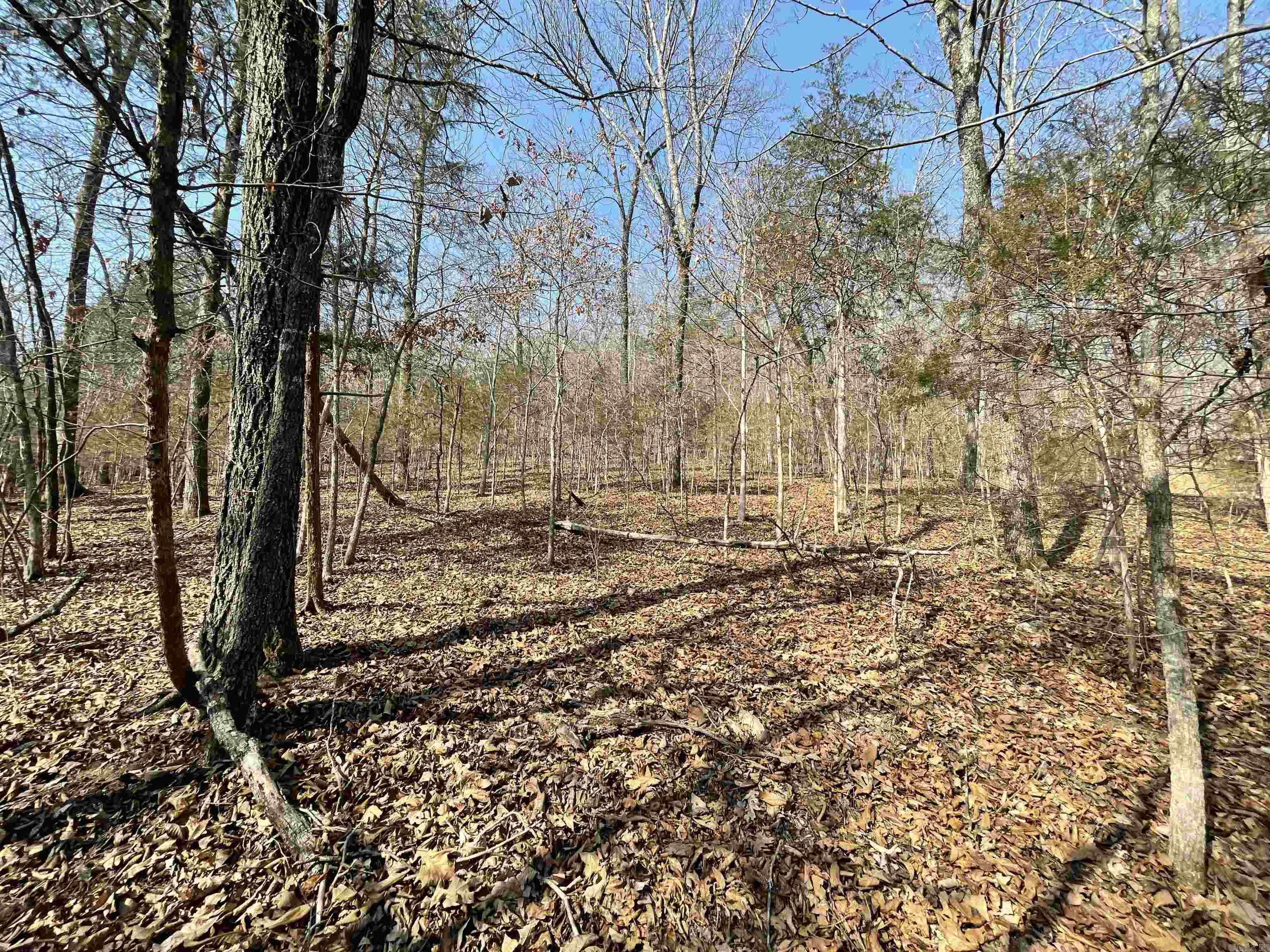 BRANSCUM & TUBBS - Land