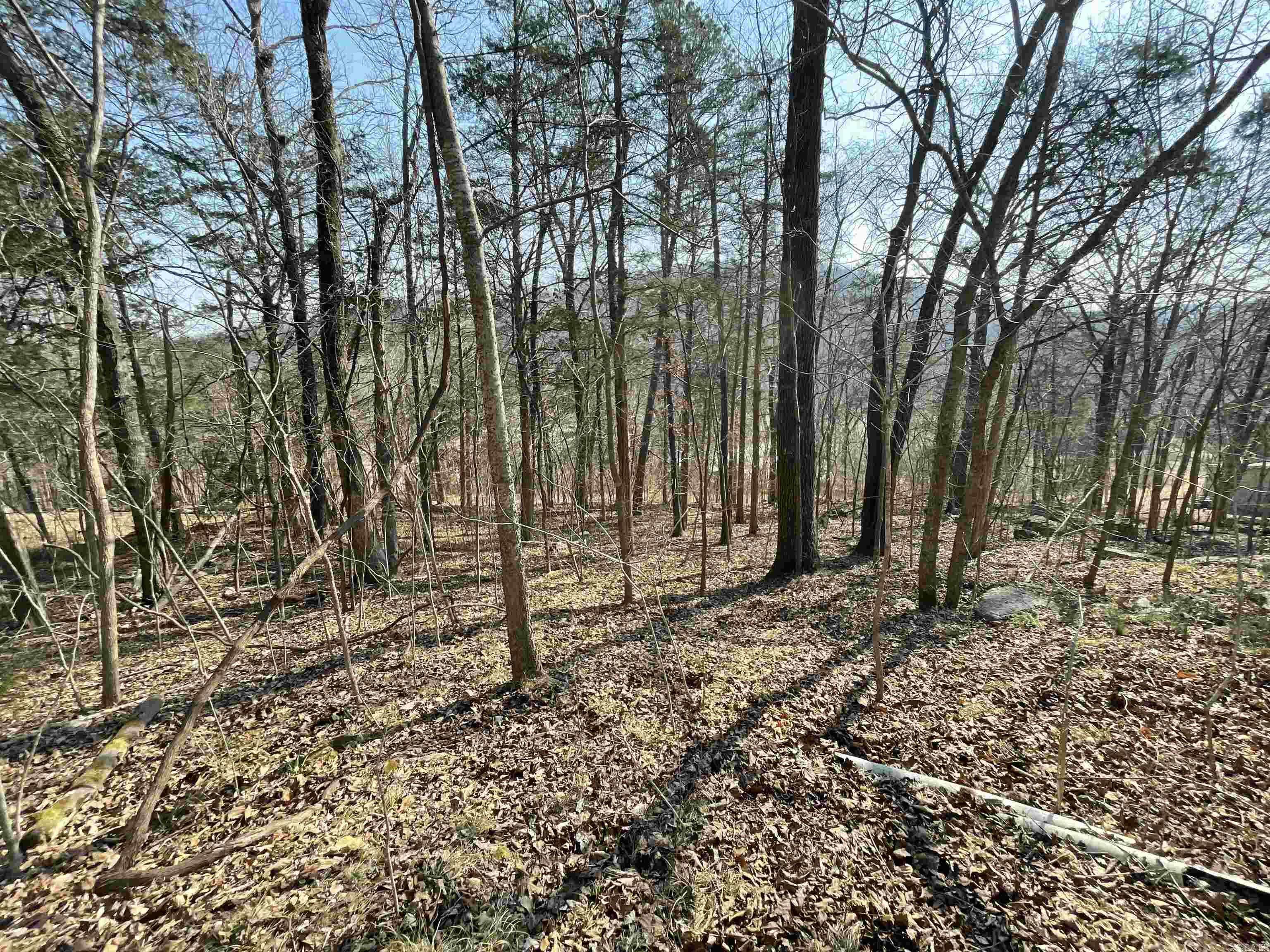 BRANSCUM & TUBBS - Land