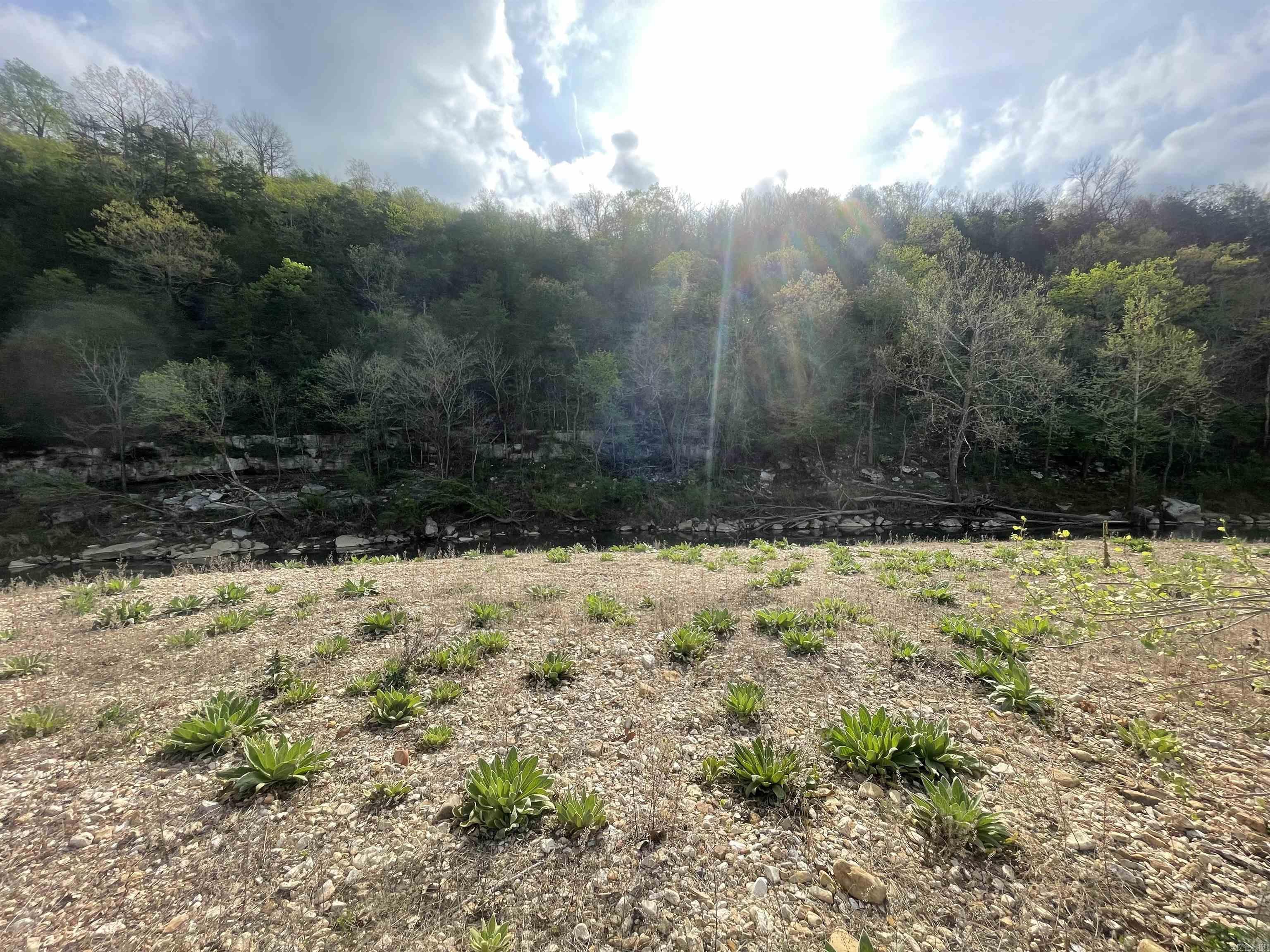 BRANSCUM & TUBBS - Land