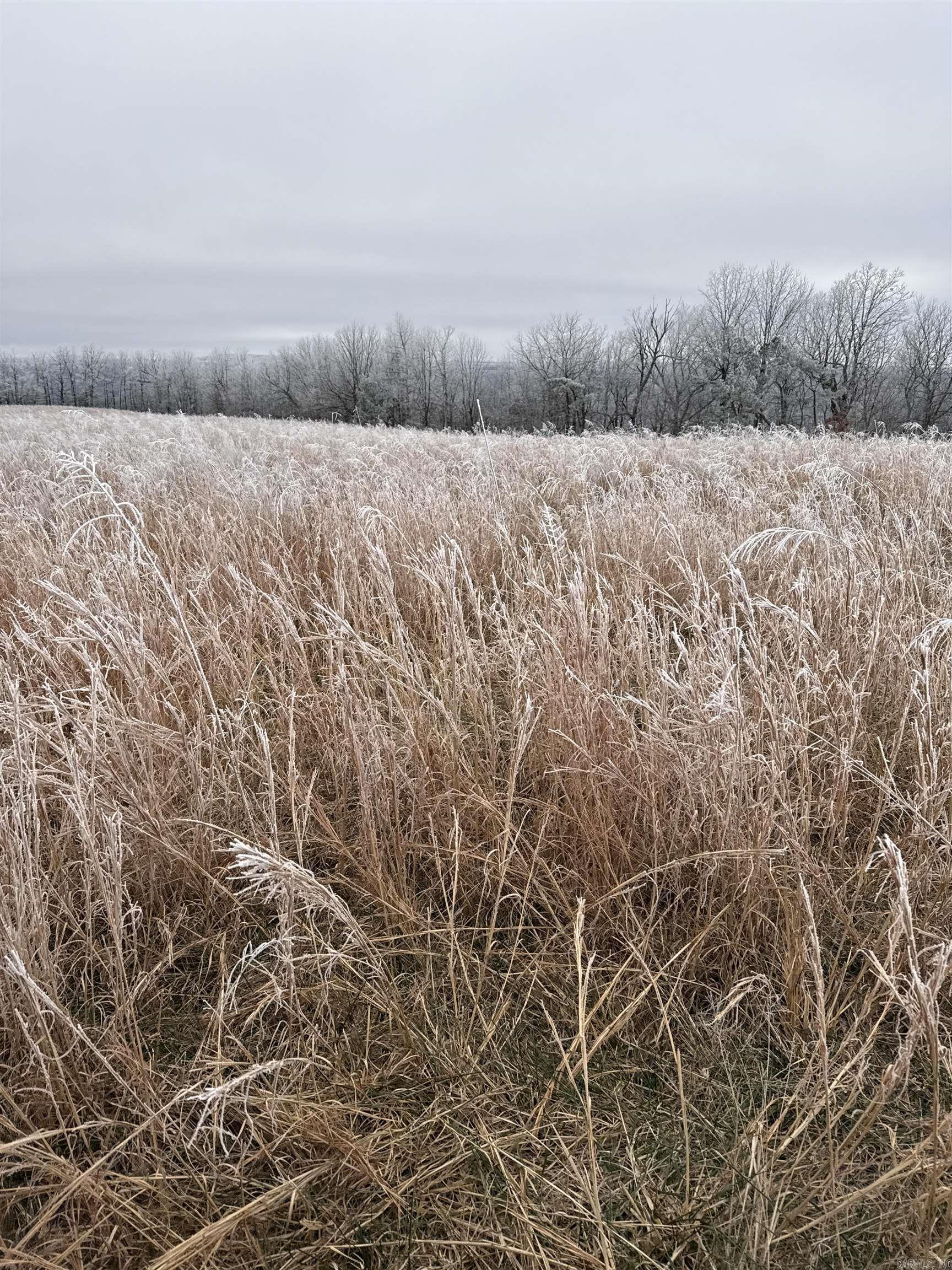 Metes & Bounds - Farm