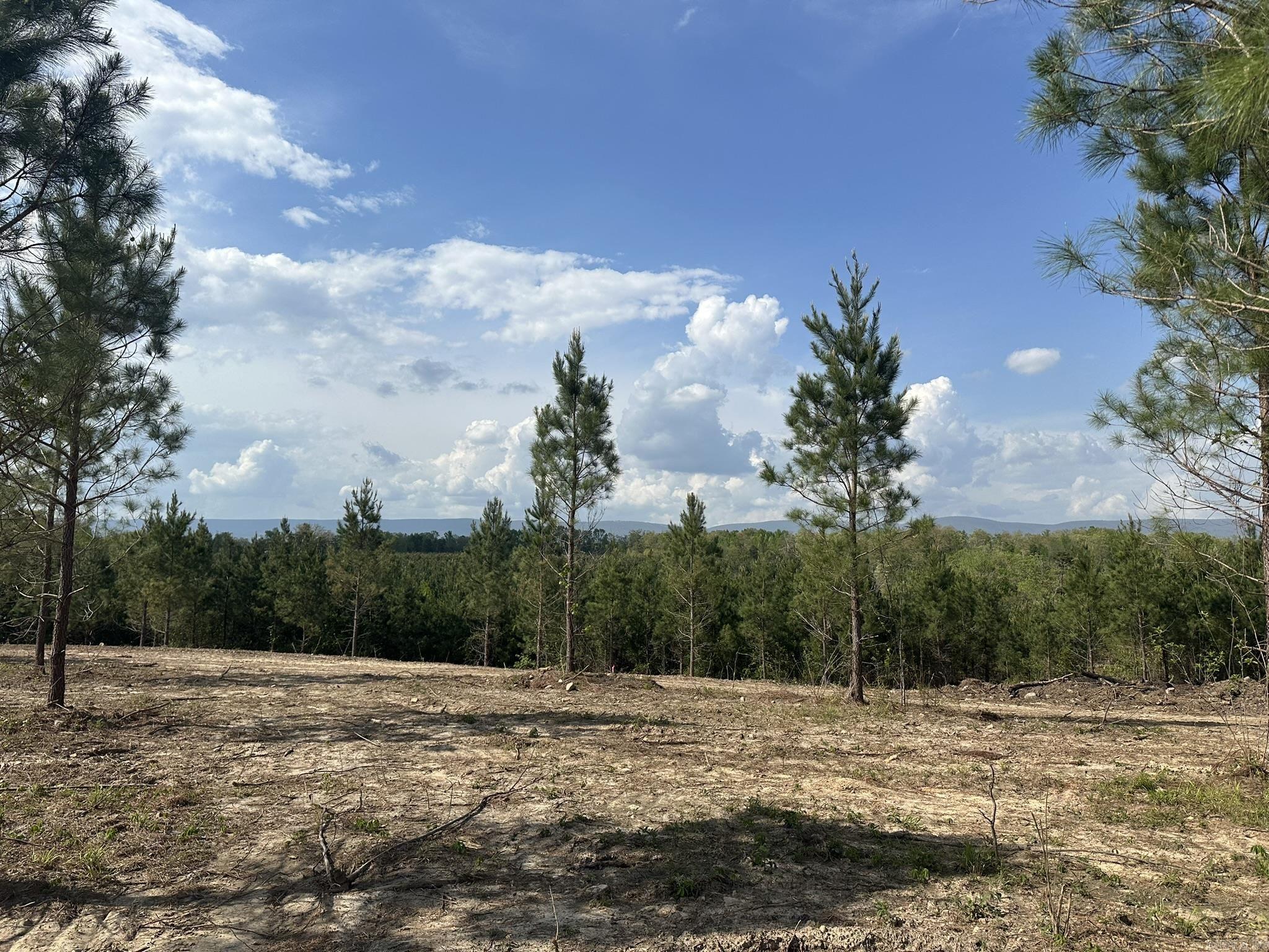 Lake Avalon Estates - Land