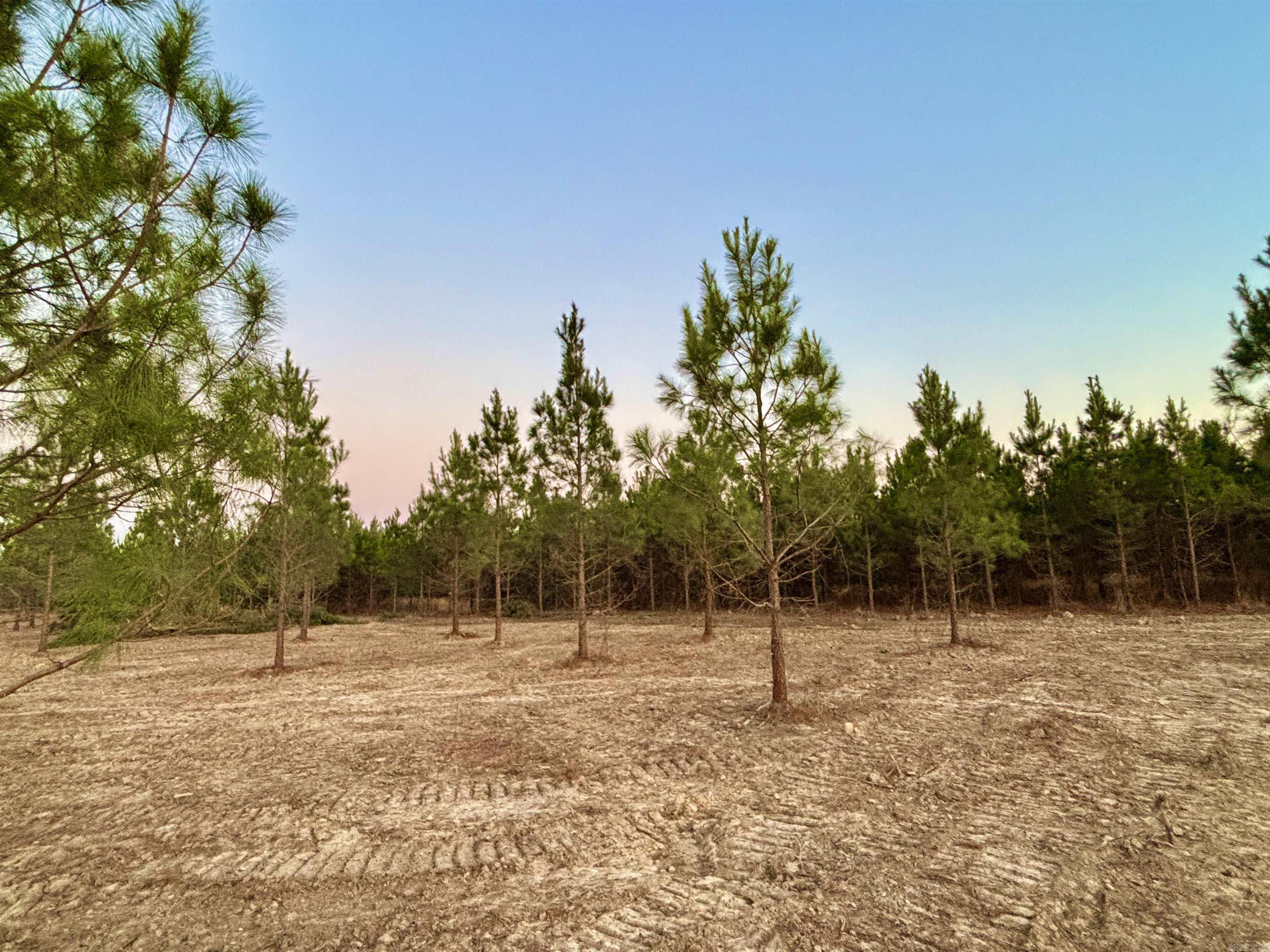 Lake Avalon Estates - Land