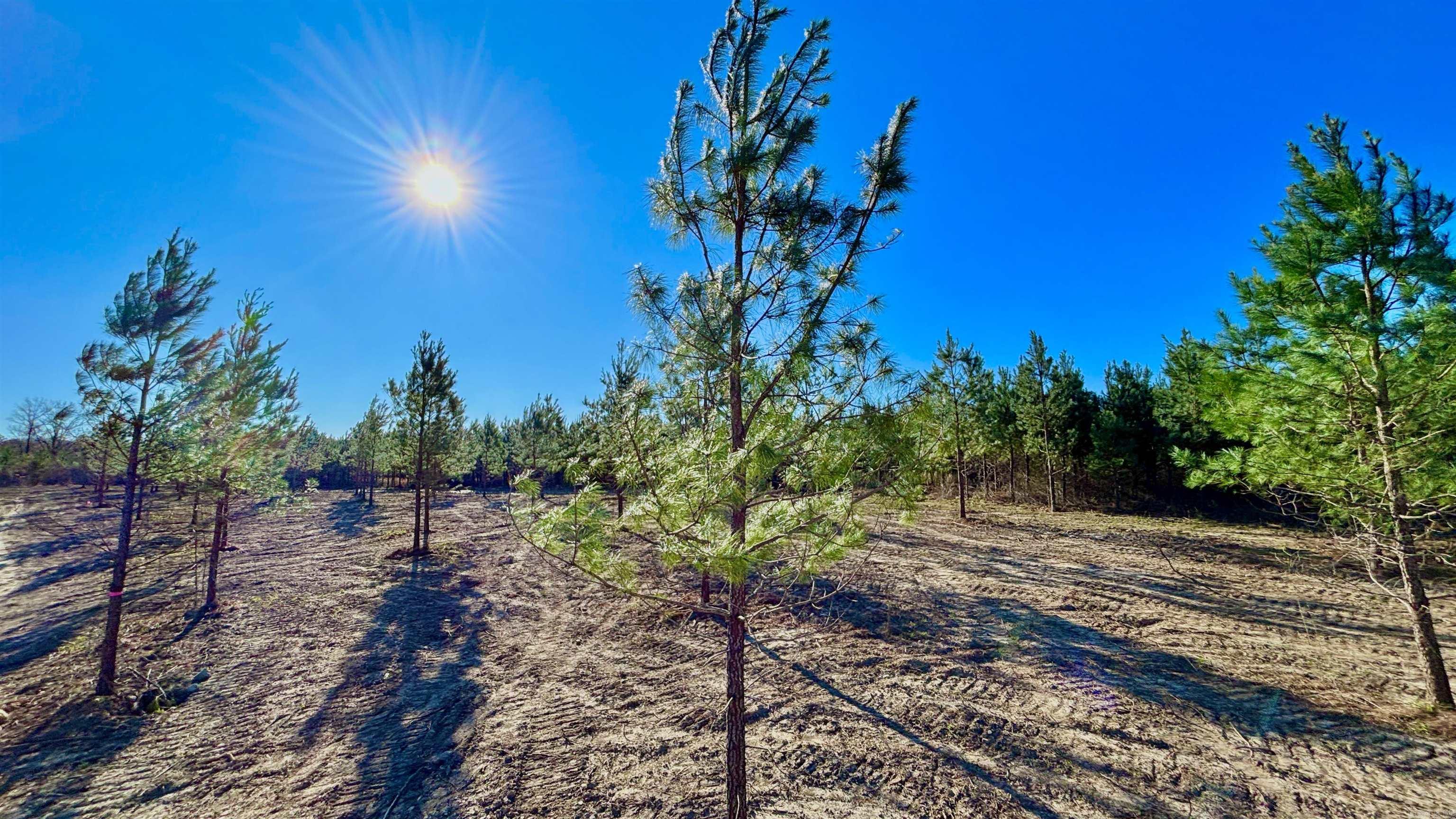 Lake Avalon Estates - Land