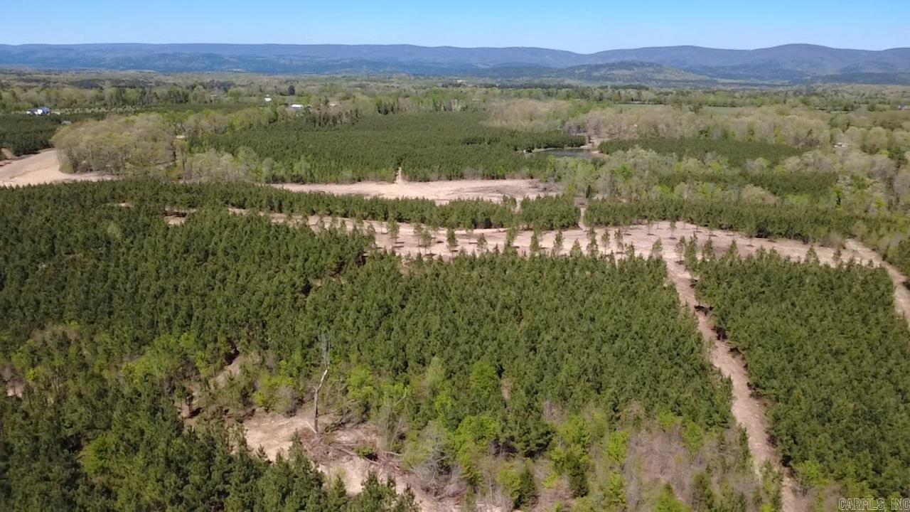 Lake Avalon Estates - Land