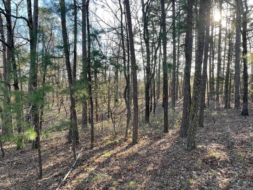 Lovely private and mostly level lot with mature trees. Centrally located close to the Danville Gate. Common area to the left of the lot and other buildable lots to the right.  Great place to carve out your dream home.  First Time property buyers in HSV are subject to a $300 buy-in fee that will be paid at closing.