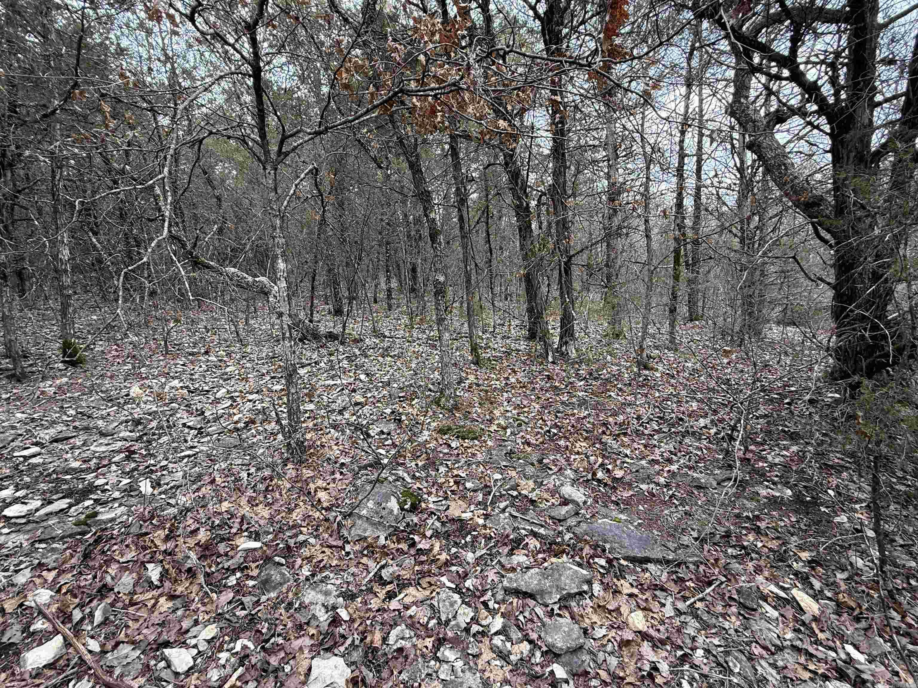 Metes & Bounds - Land