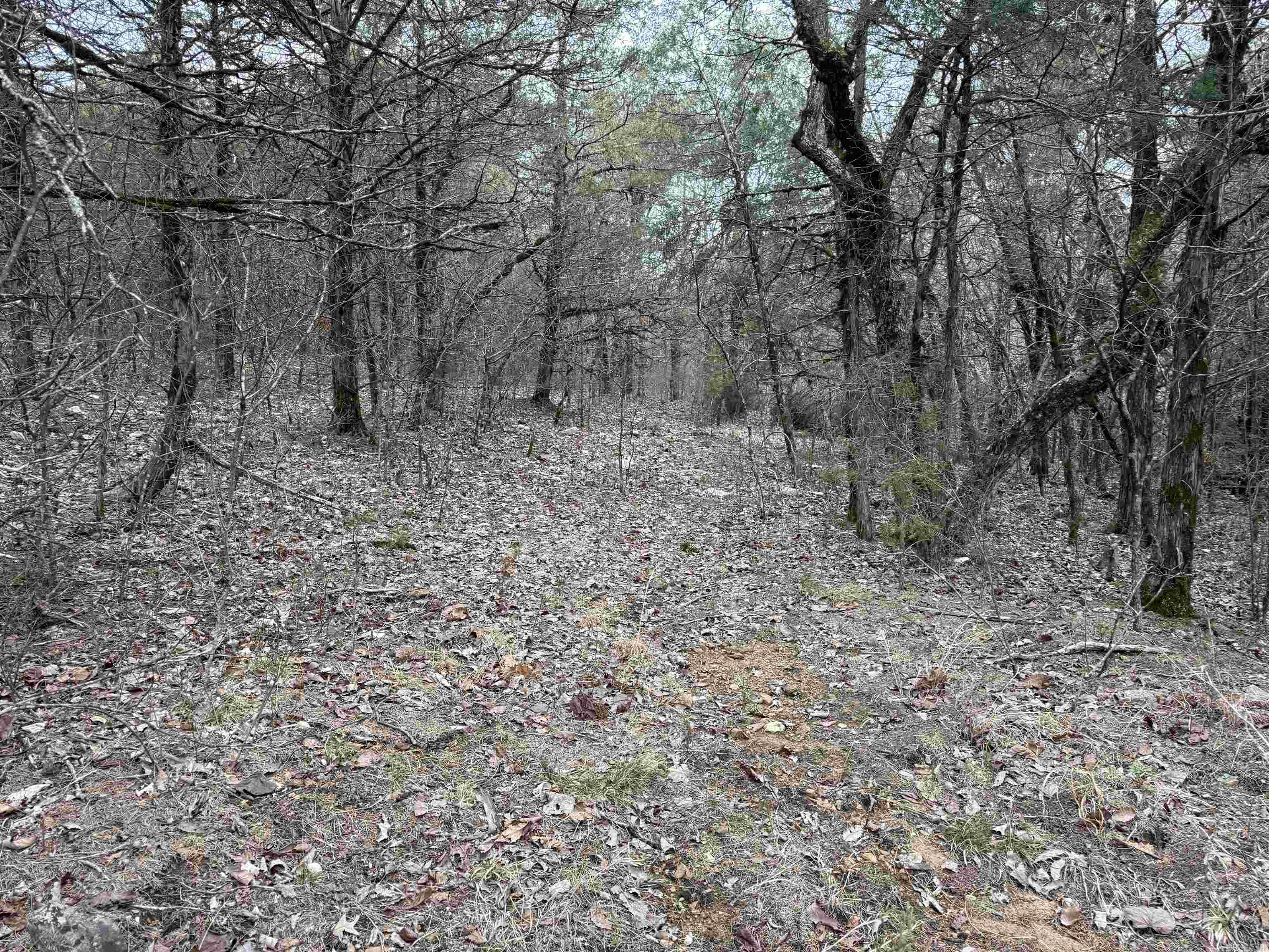 Metes & Bounds - Land