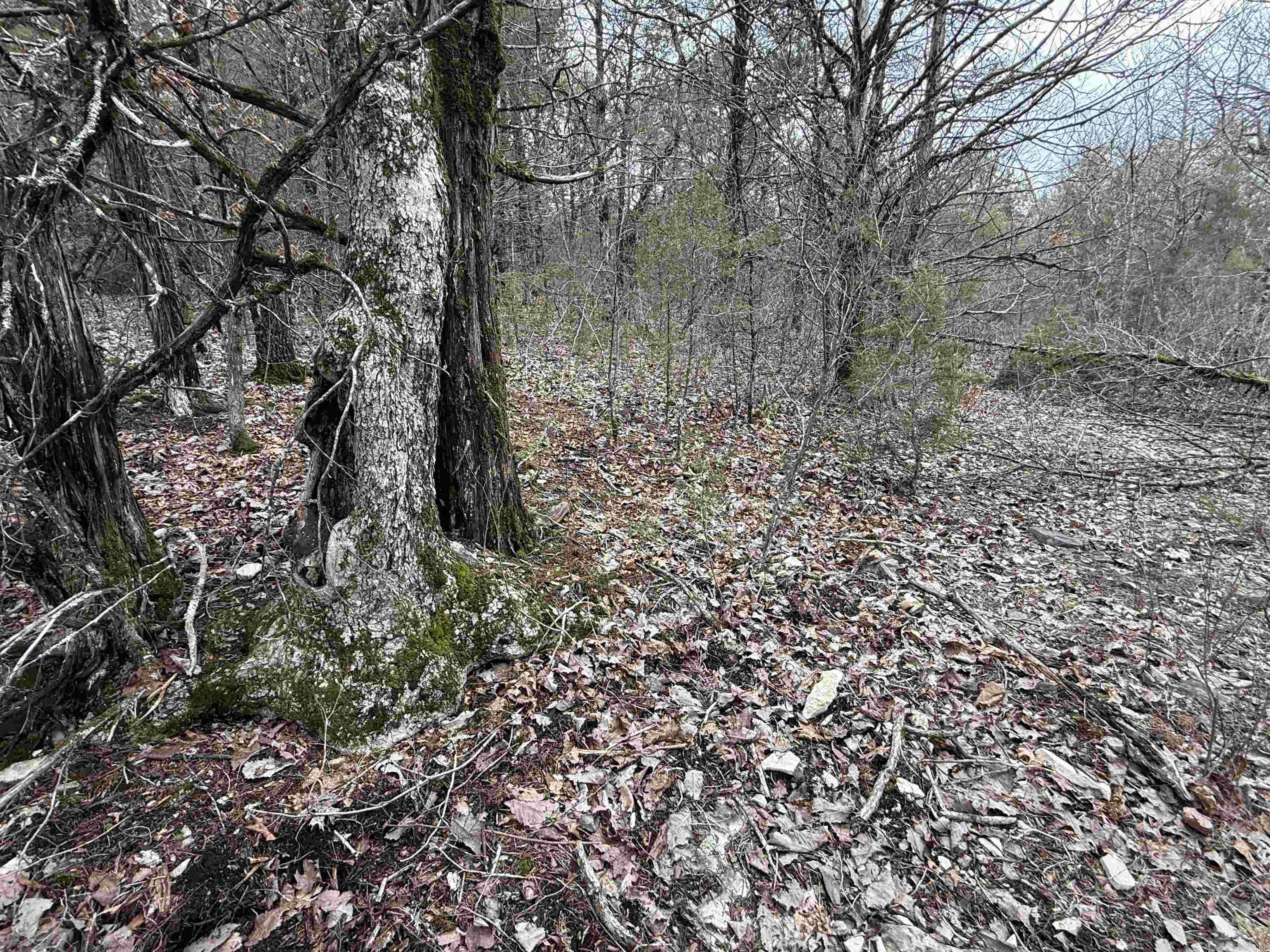 Metes & Bounds - Land