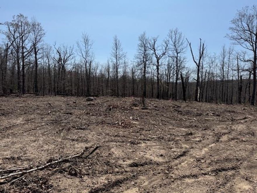 This is a nice, flat lot that has already been surveyed and cleared, saving you significant initial work. The next step for building would be to conduct a state-approved perc test to determine suitability for a septic system. Located in a quiet area, this property offers a peaceful setting. Imagine building your dream home here – the back of the house would offer a beautiful view, enhancing the appeal of this promising homesite.