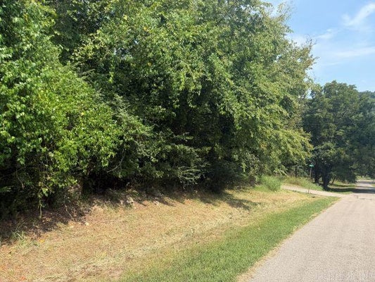 SOUTH AVE, COTTER, AR 72626 - Image 1bdb38c63c1b3dd61e54848aa6b68205/614211702