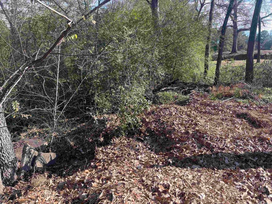 Check out this .33 acre lot in the city-limits of DeQueen, AR with highway frontage. City utilities are available but not on site, and this property is currently zoned as residential.