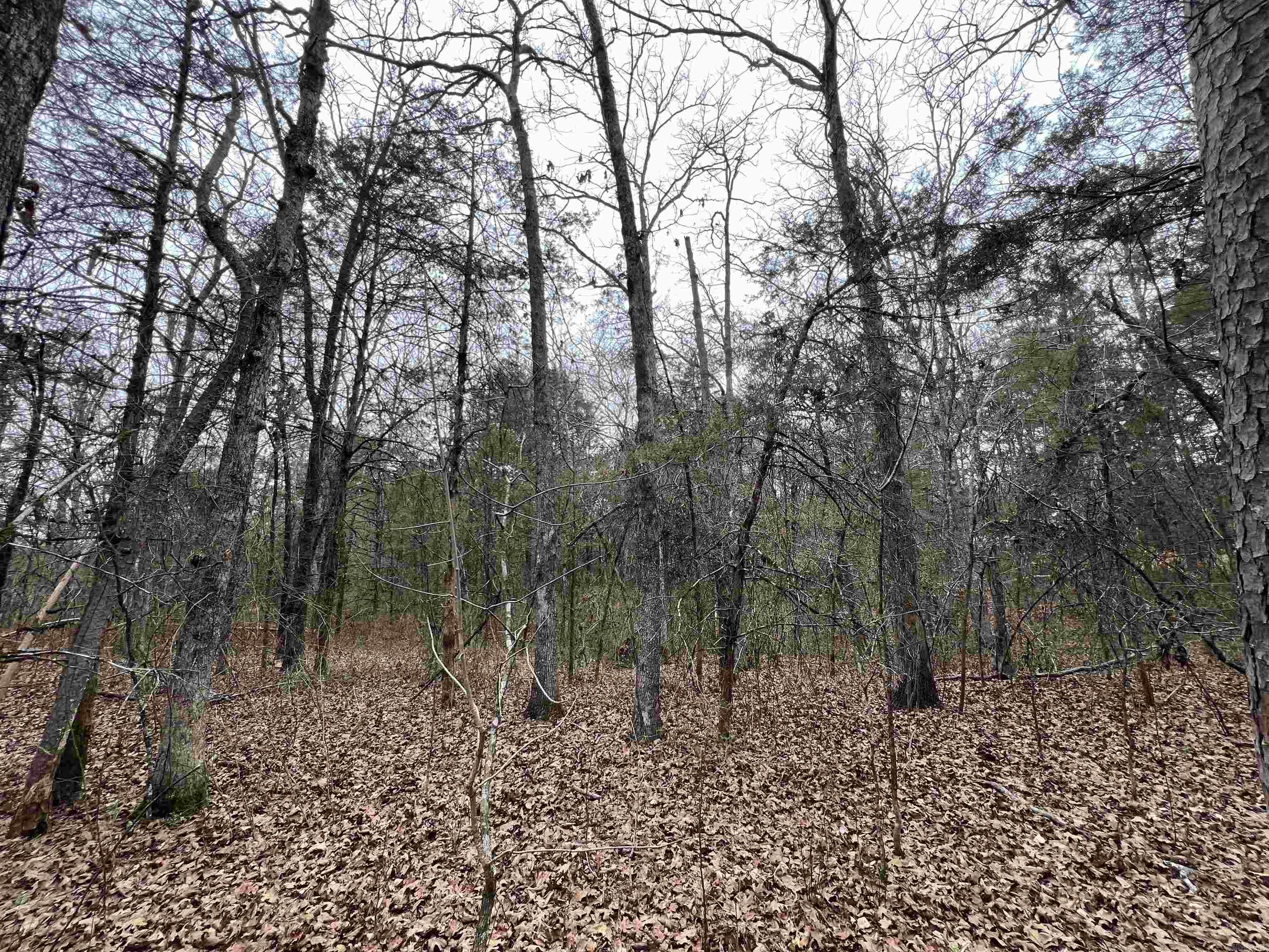 Metes & Bounds - Land