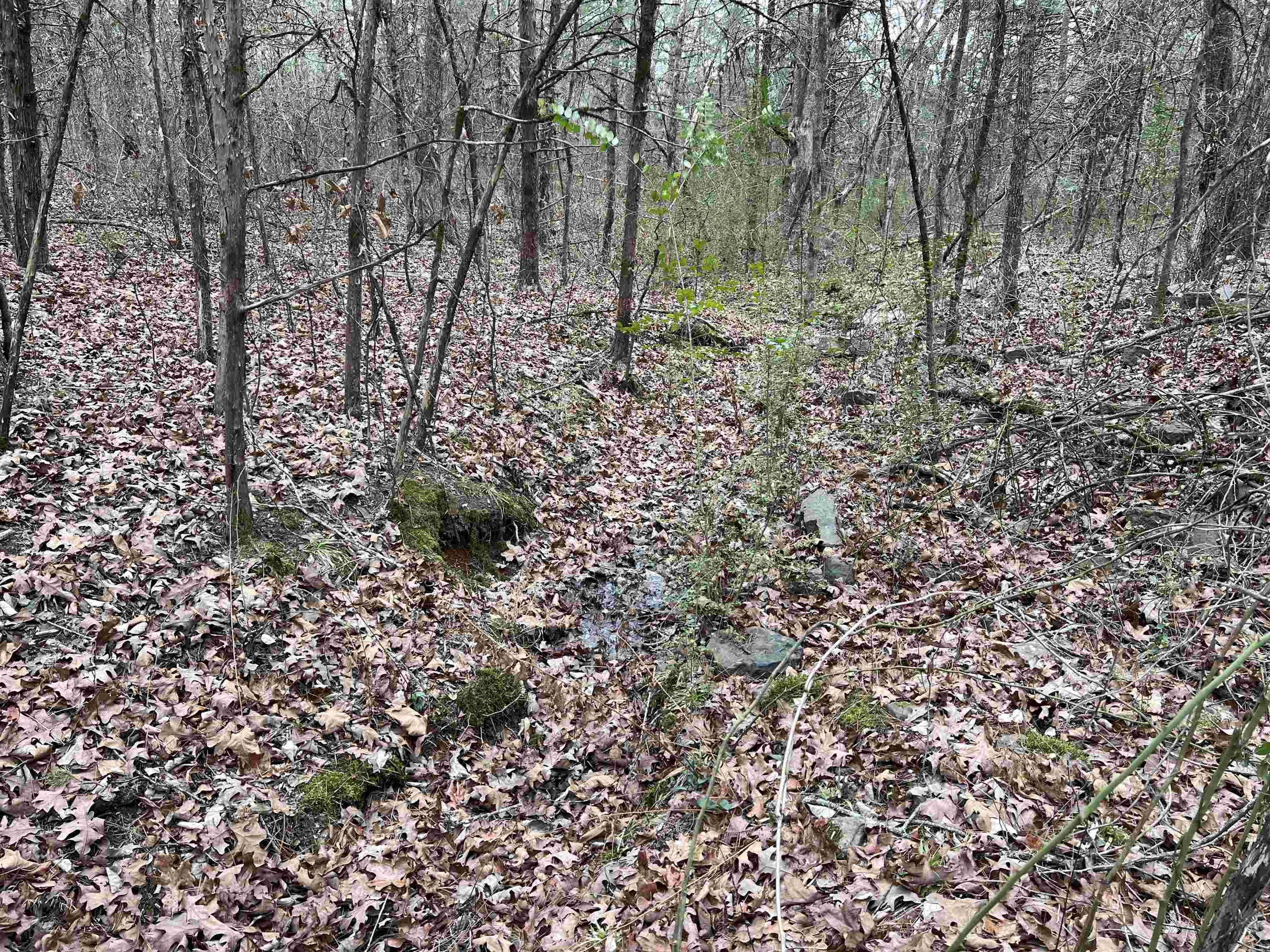 Metes & Bounds - Land