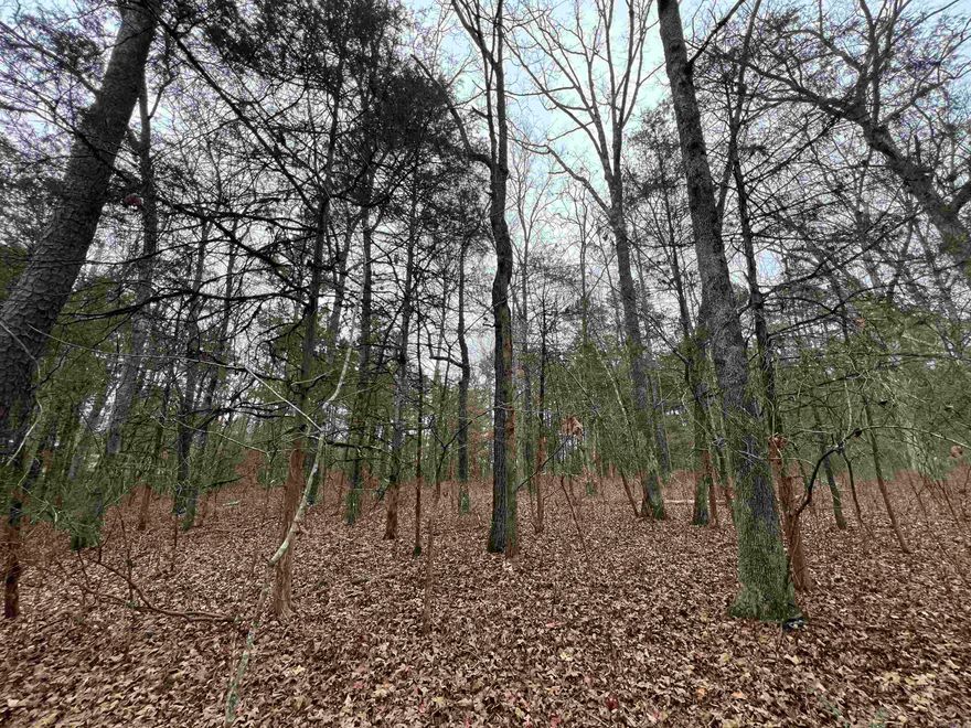 Discover peaceful country living just 3 miles west of Choctaw, AR with this beautiful 3+/- acre wooded parcel located at 433 Cody Drive. Surrounded by mature trees and abundant wildlife, this property offers the perfect balance of privacy and convenience. Whether you’re looking for a quiet homestead, weekend getaway, or a place to bring your mobile home, this unrestricted land is ready for your plans. The property already includes an old well and septic system from a previous mobile home site, saving you time and expense when setting up your new home. Electricity and city water is available at the road, making this an easy location to build or move in quickly. With no restrictions, you have the freedom to use the land as you choose—build a cabin, place a manufactured home, or simply enjoy it as a peaceful retreat. Seller does not own Mineral Rights. No survey available. Listing price is firm.  Conveniently located just minutes from downtown Clinton, Greers Ferry Lake, and area amenities, this wooded property offers quiet country living with easy access to town. Come see the possibilities this 3+/- acre slice of the Ozarks has to offer!