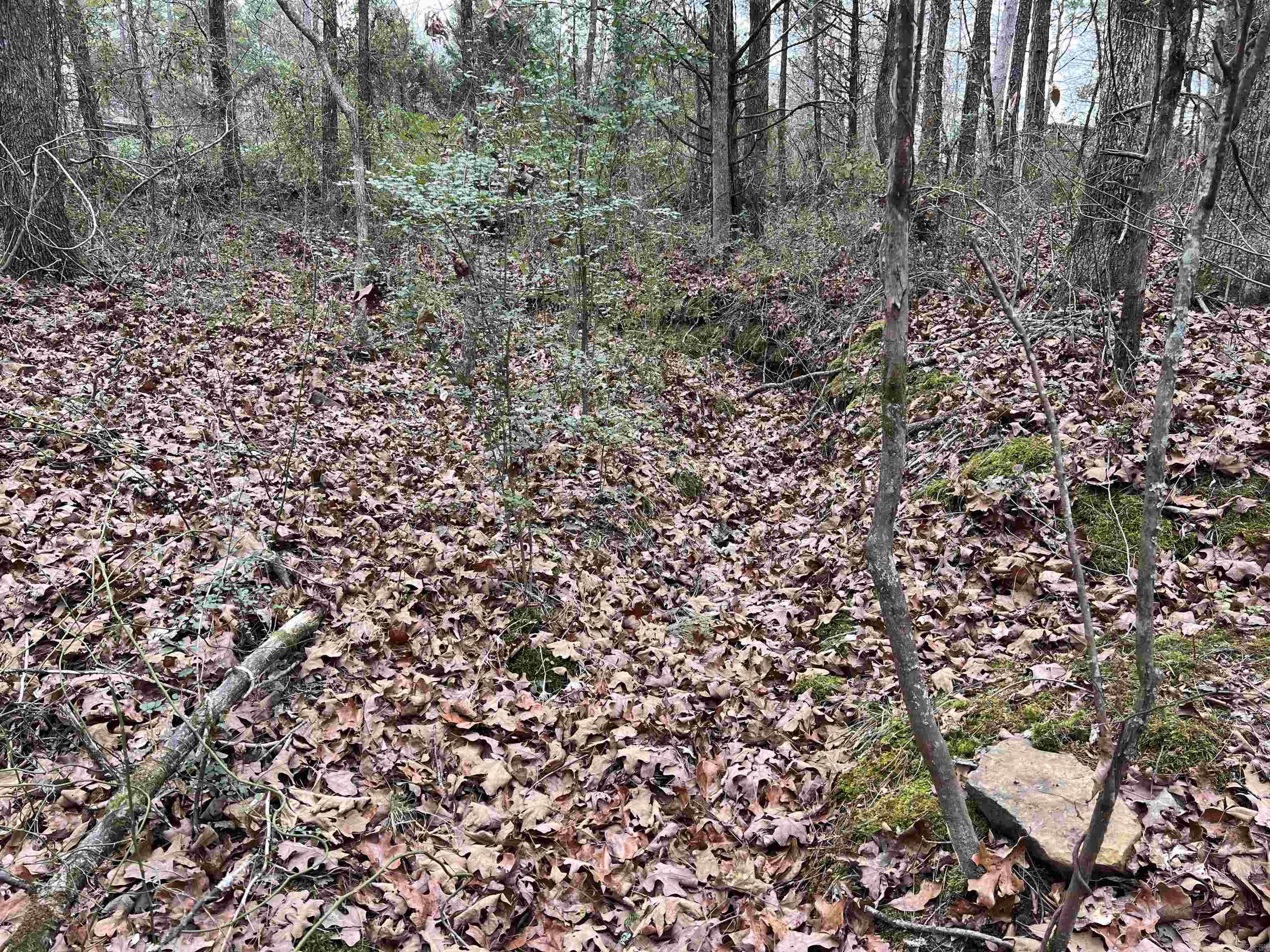 Metes & Bounds - Land