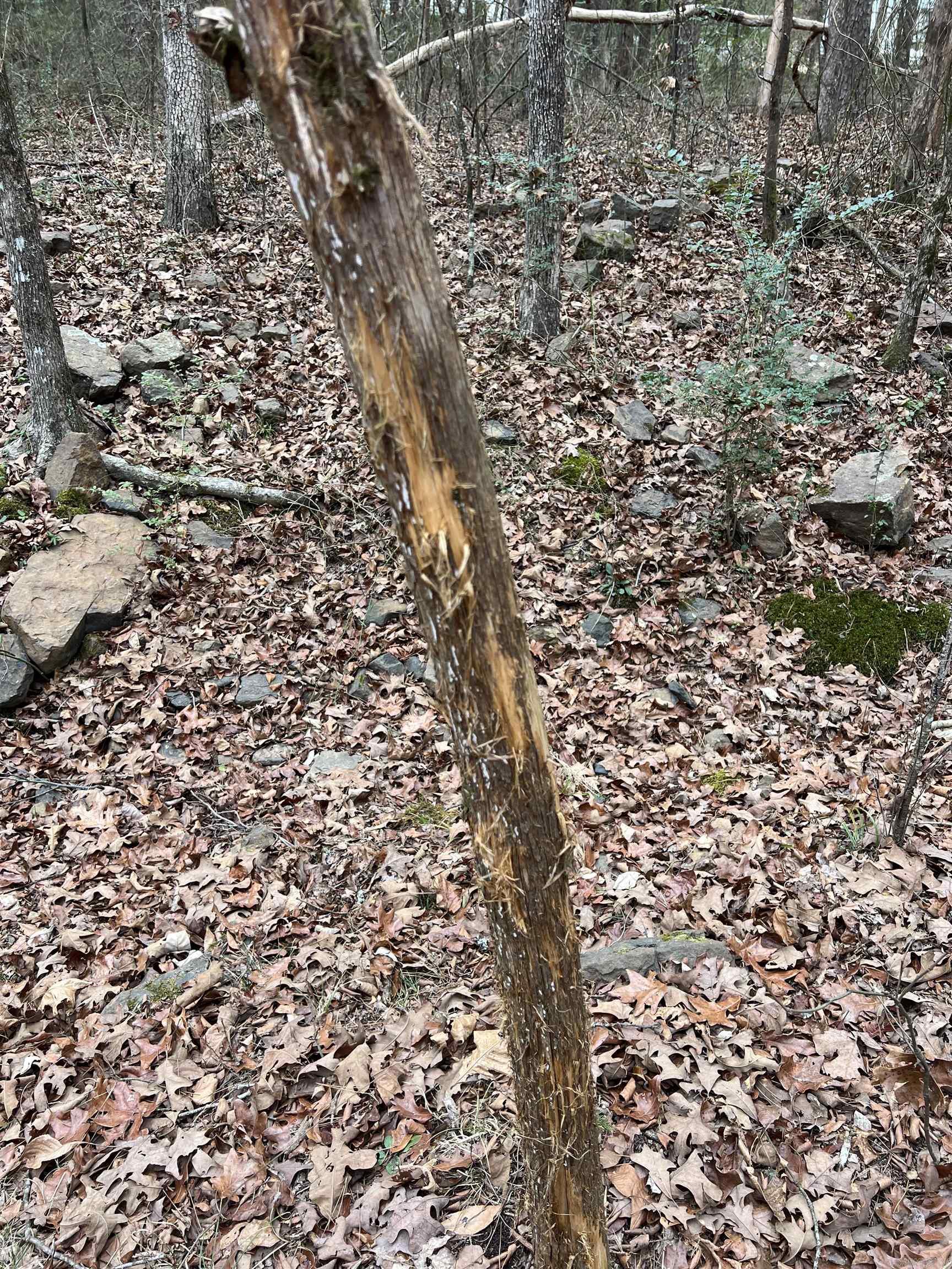 Metes & Bounds - Land