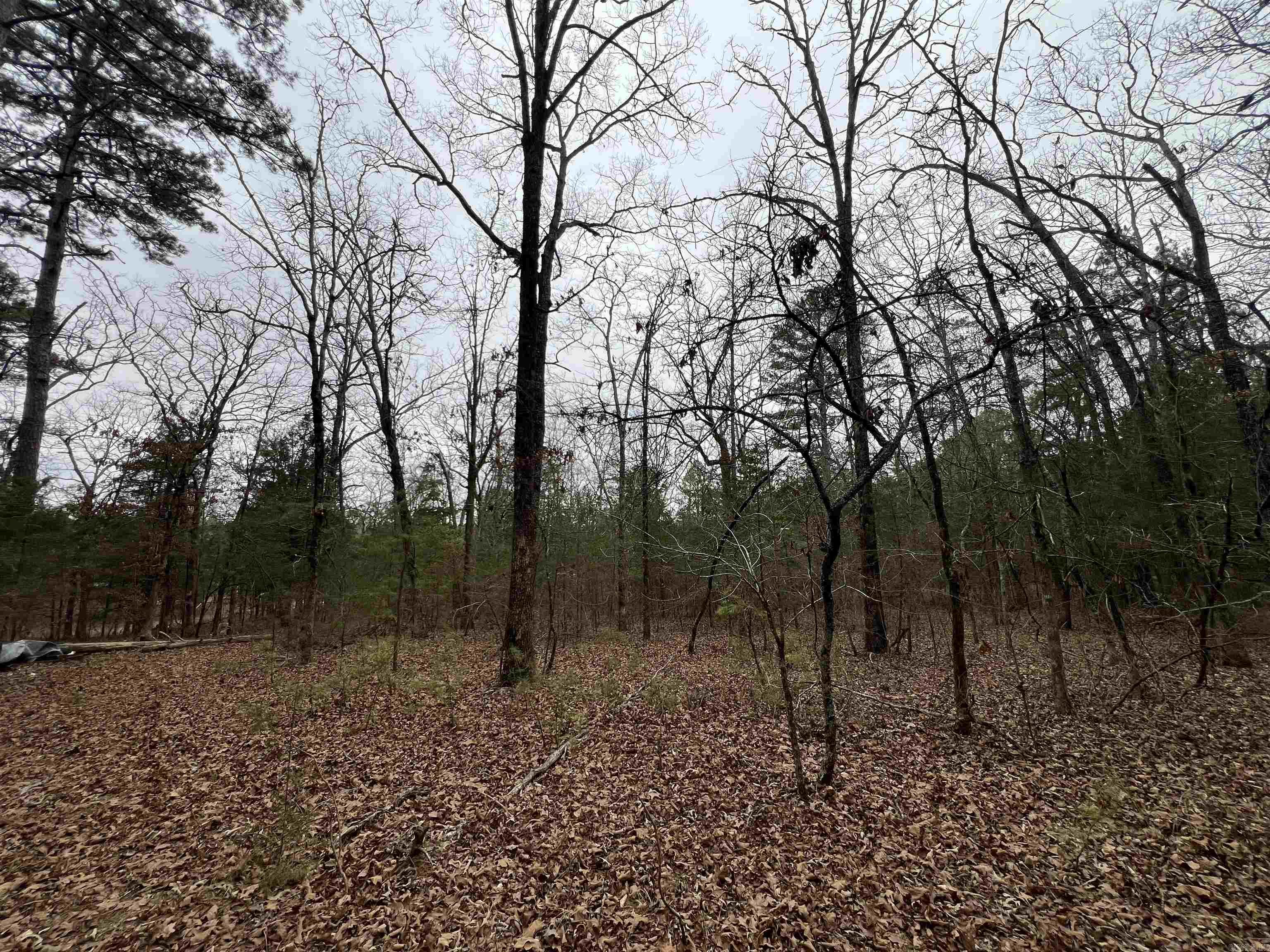 Metes & Bounds - Land