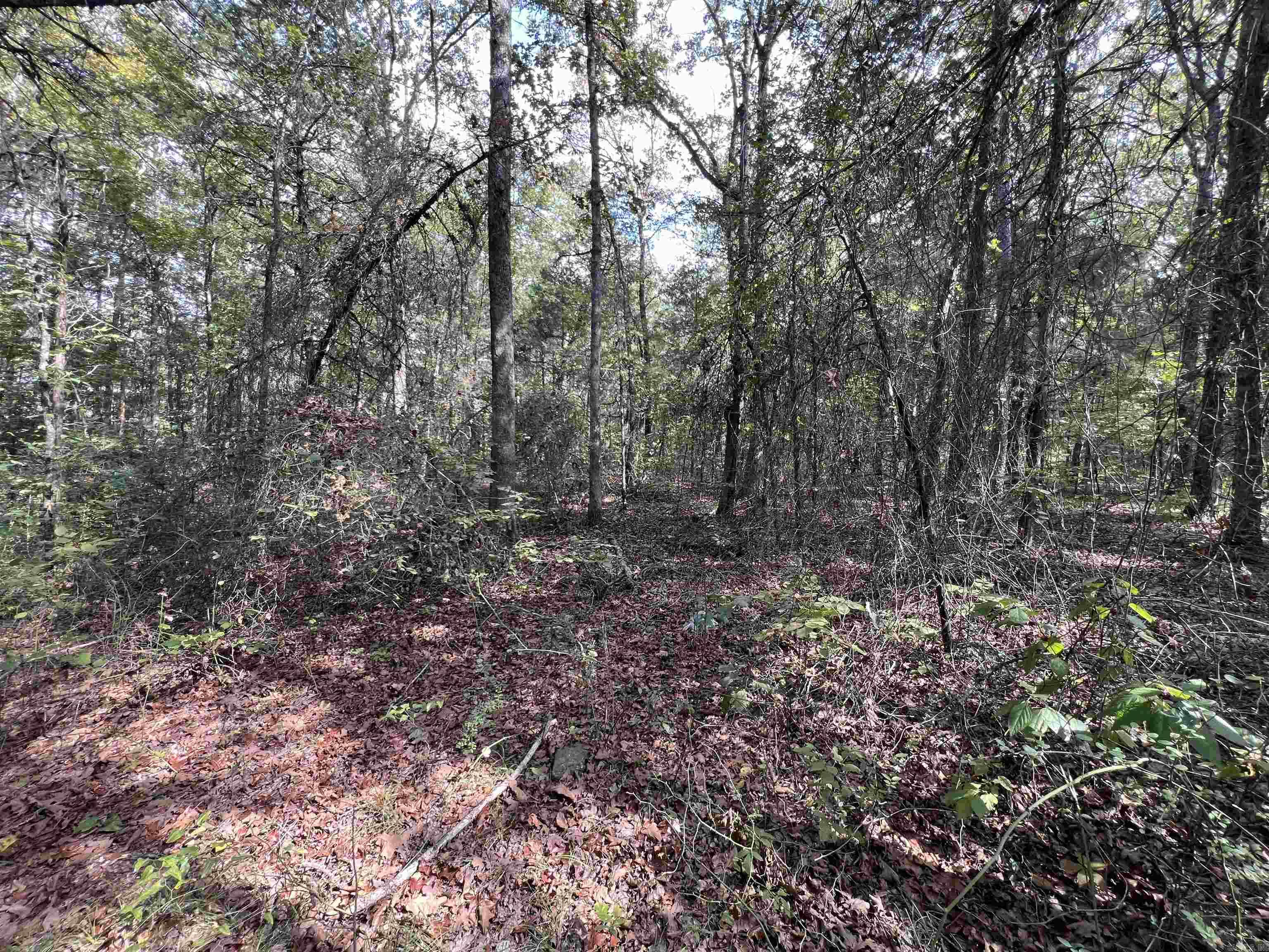 Discover peaceful country living just 3 miles west of Choctaw, AR with this beautiful 3+/- acre wooded parcel located at 433 Cody Drive. Surrounded by mature trees and abundant wildlife, this property offers the perfect balance of privacy and convenience. Whether youāre looking for a quiet homestead, weekend getaway, or a place to bring your mobile home, this unrestricted land is ready for your plans. The property already includes a well and septic system from a previous mobile home site, saving you time and expense when setting up your new home. Electricity is available at the road, making this an easy location to build or move in quickly. With no restrictions, you have the freedom to use the land as you chooseābuild a cabin, place a manufactured home, or simply enjoy it as a peaceful retreat. Seller does not own Mineral Rights. No survey available. Listing price is firm. Conveniently located just minutes from downtown Clinton, Greers Ferry Lake, and area amenities, this wooded property offers quiet country living with easy access to town. Come see the possibilities this 3+/- acre slice of the Ozarks has to offer!