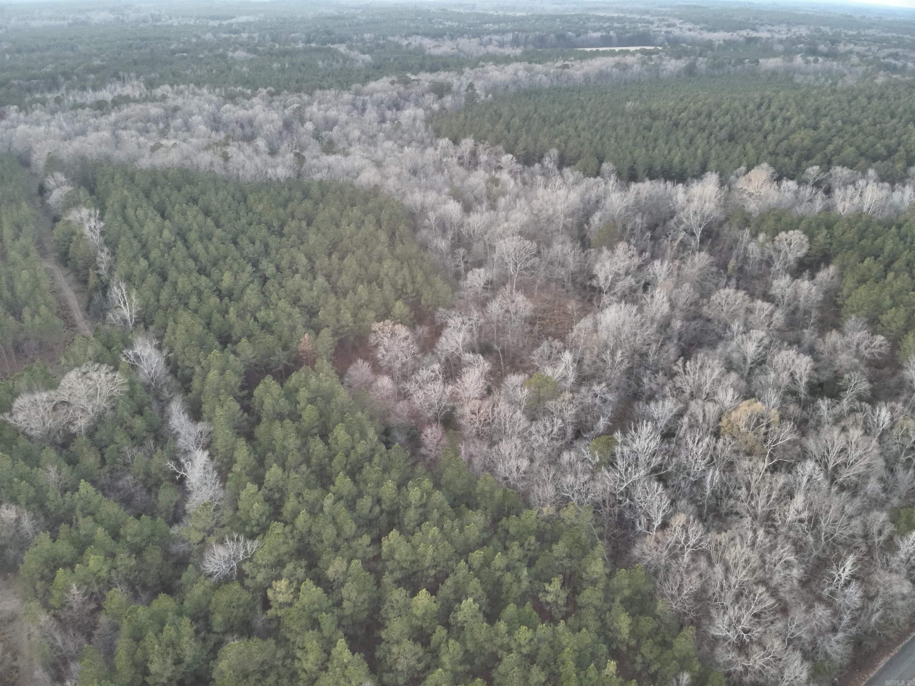 The āLamartine Tractā (#03019-03870) is a ±278-acre tract located on the Nevada and Columbia County line with about 138 acres in Nevada County and ±140 acres Columbia County. The property is about four miles northeast of the Lamartine community. Access is very good with Nevada CR-168 providing gravel road access along the north boundary and Nevada CR-8 & Columbia CR-45 providing paved access and frontage along and through the western portion of the property. The tract has approximately 230 acres of pine plantation that was established in 2003 and received its first thinning in 2018. There is about 38 acres of hardwood timber located on the west side of the property. The fine sandy loam soils of the property range from 84 to 90 feet site index and have a weighted site index of 85 feet for loblolly pine (BA-50). With great appreciation potential, the property should make any good timberland portfolio look even better! With some creek bottom hardwood timber located on the west side of the property, the diversity of habitat should also look good to the hunting enthusiast and make for an excellent hunting spot! Looking for the best of both wordsā¦timber investment and hunting?!.