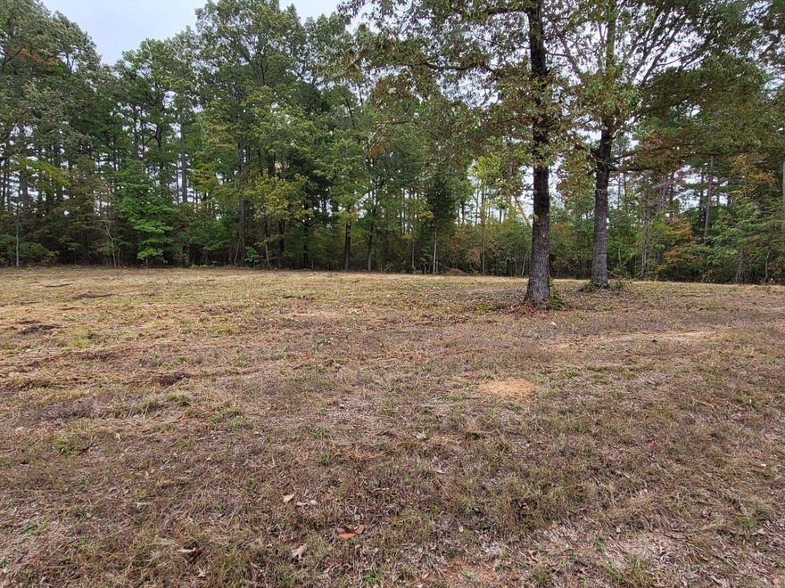 One of two lots side by side in Woodhaven Subdivision in Greers Ferry. Great location in town and close to marinas, restaurants, and shopping. Has been cleared and perc tested.