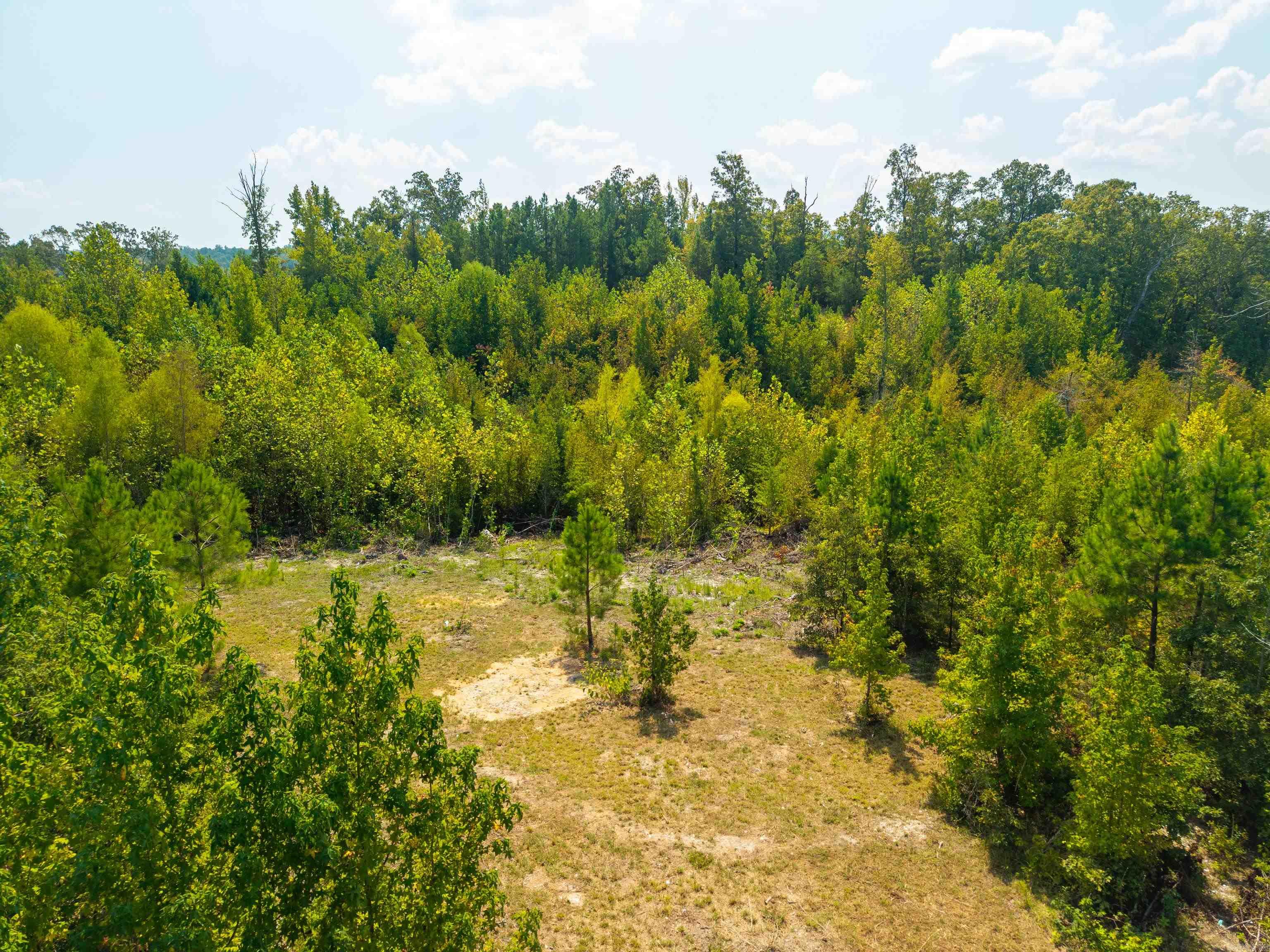 OTAZA LAKE ESTATES - Land