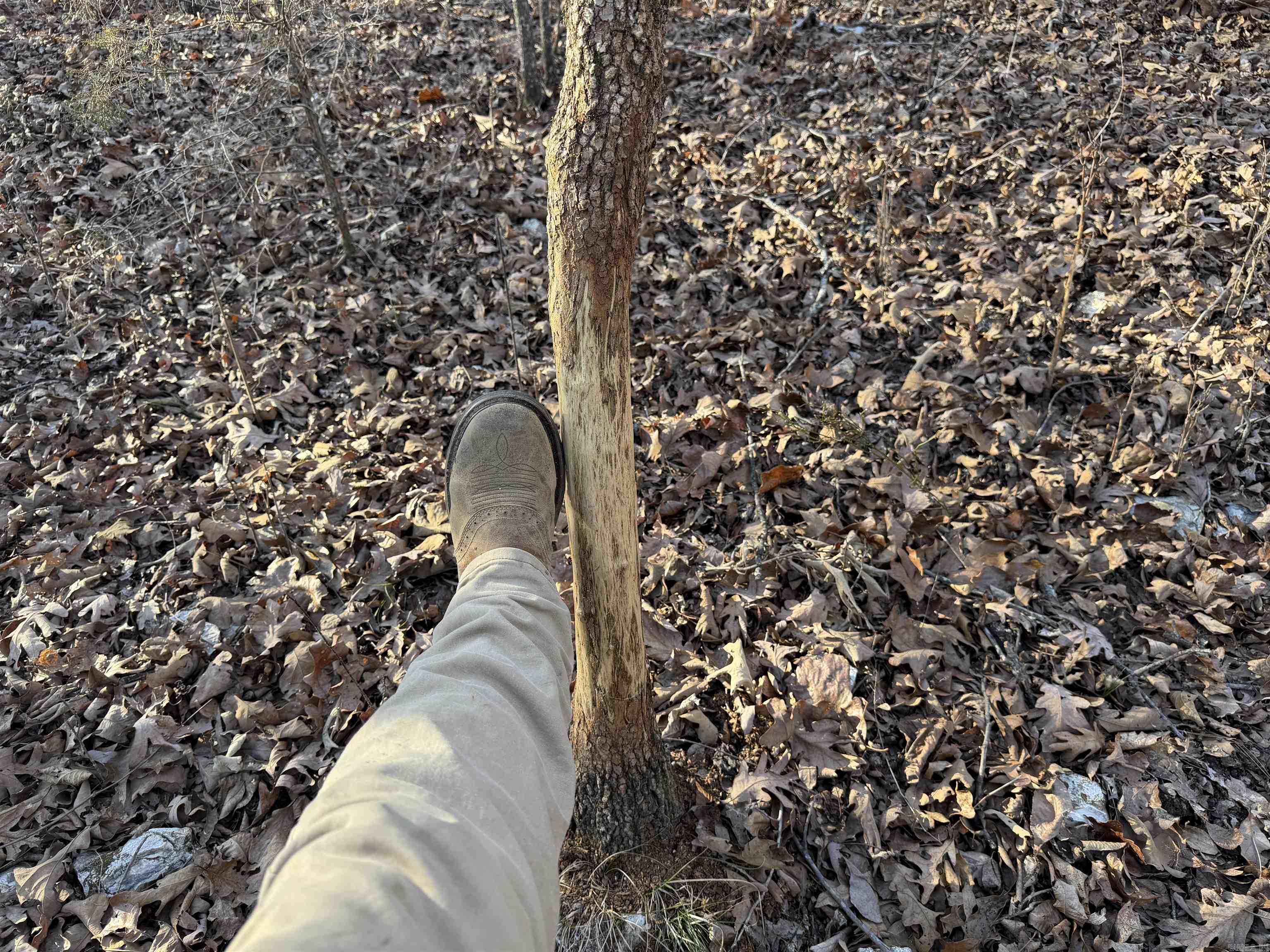 Metes & Bounds - Land