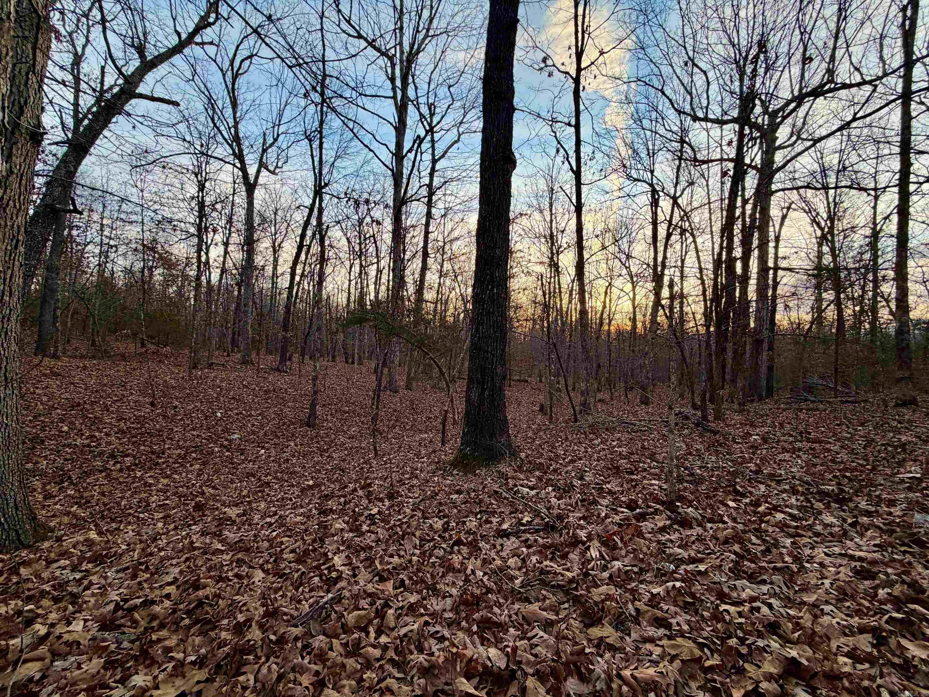 Metes & Bounds - Land