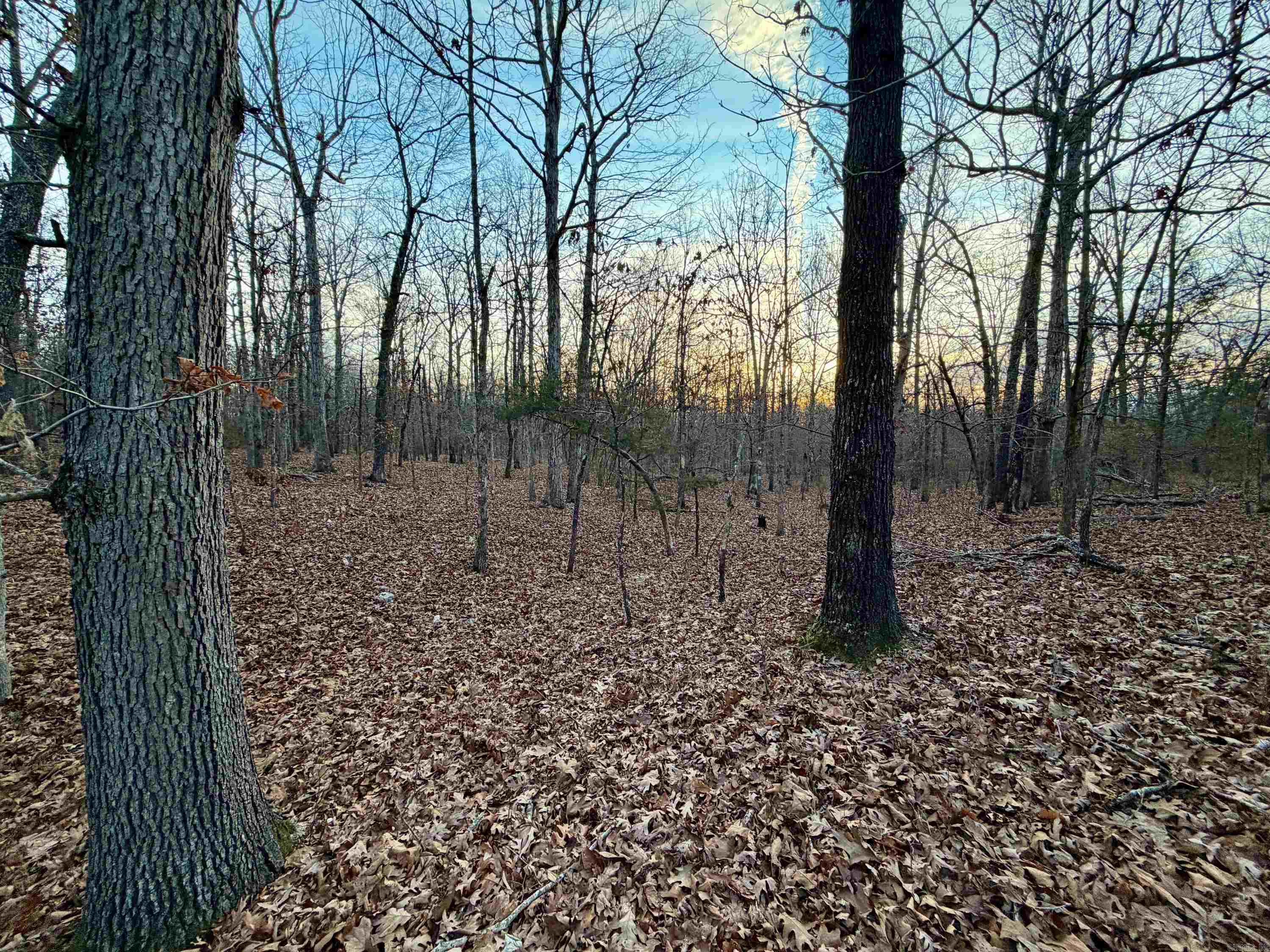 Metes & Bounds - Land