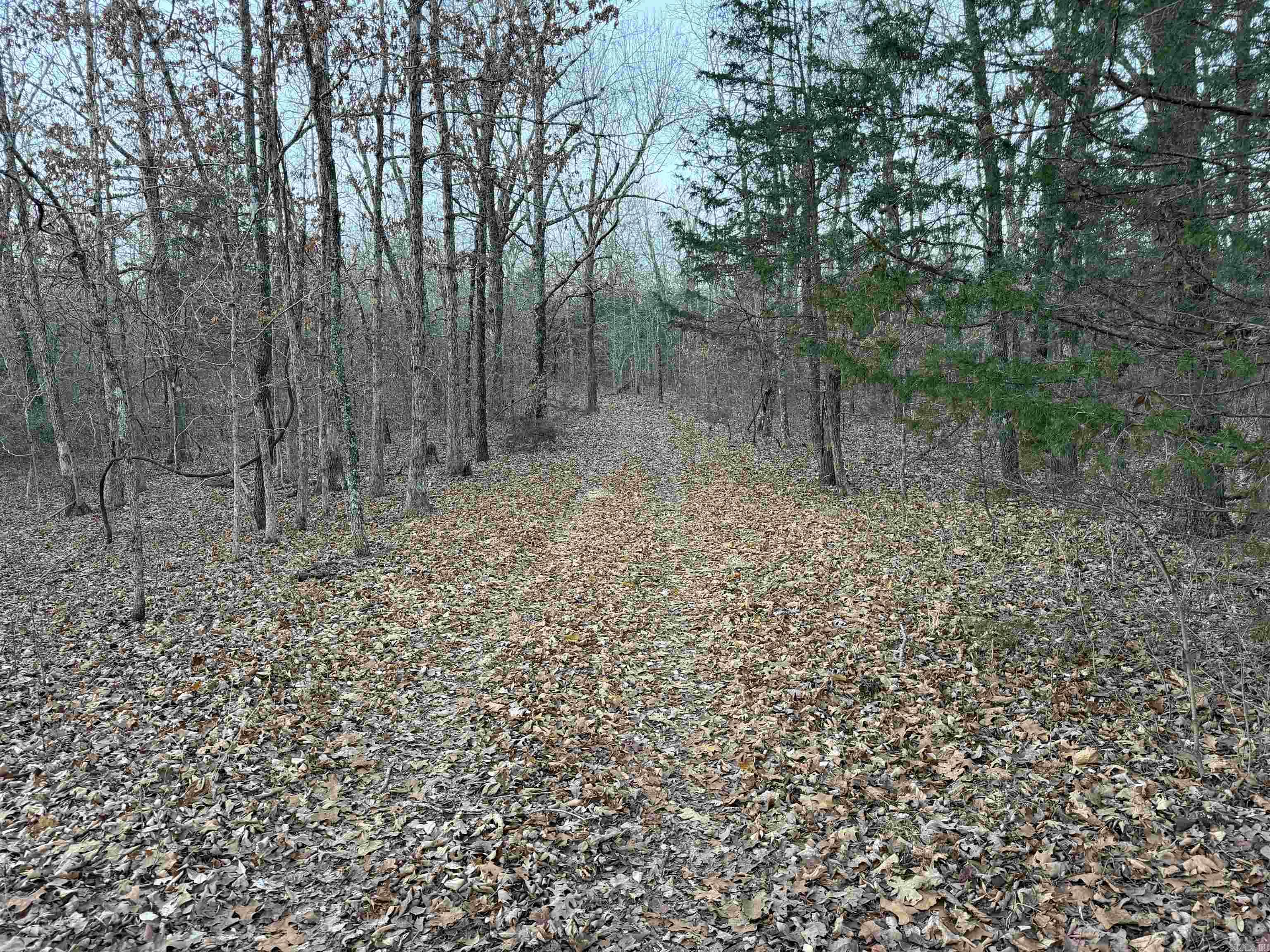 Metes & Bounds - Land