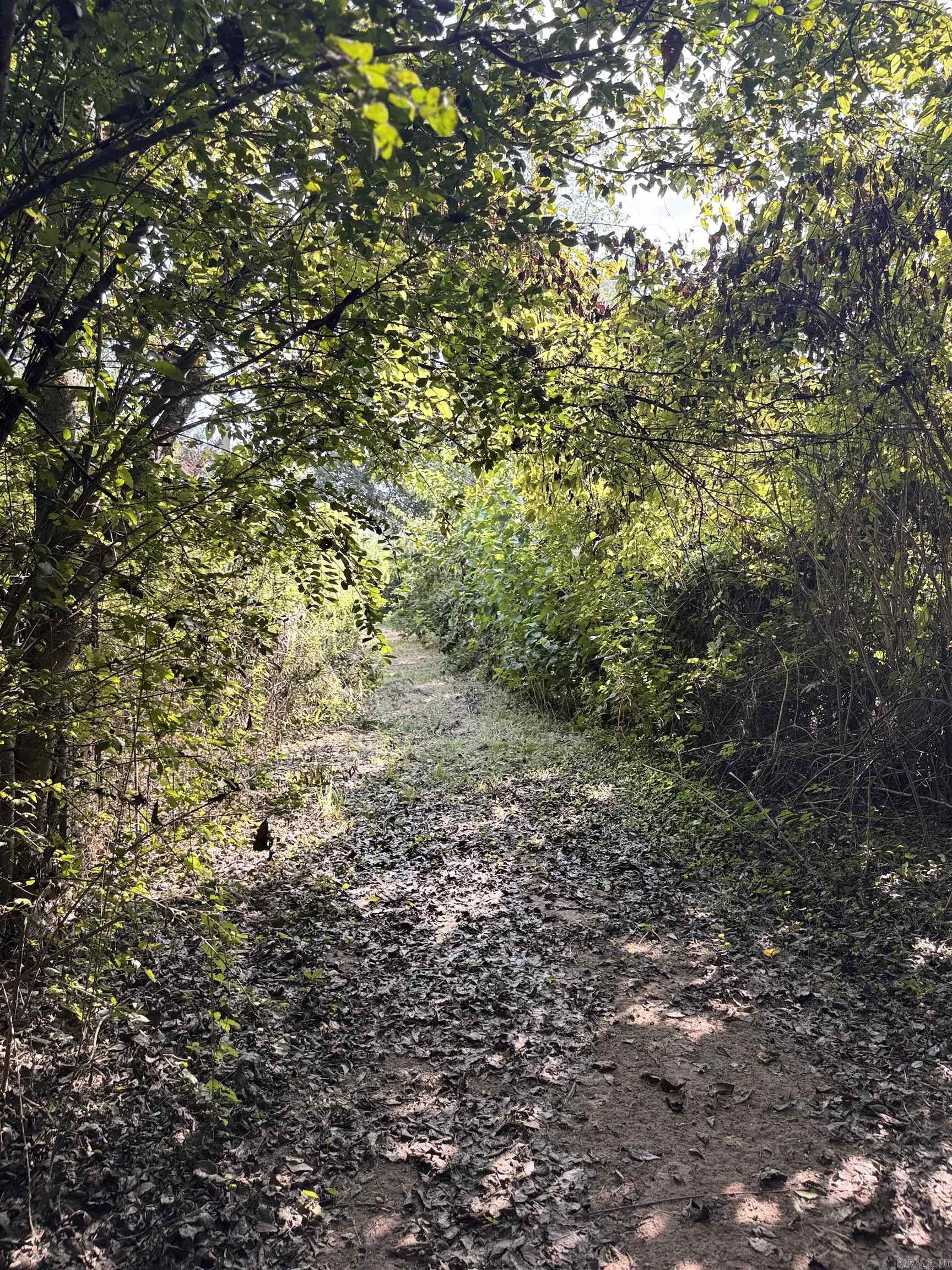 BROWN PLANTATION - Residential