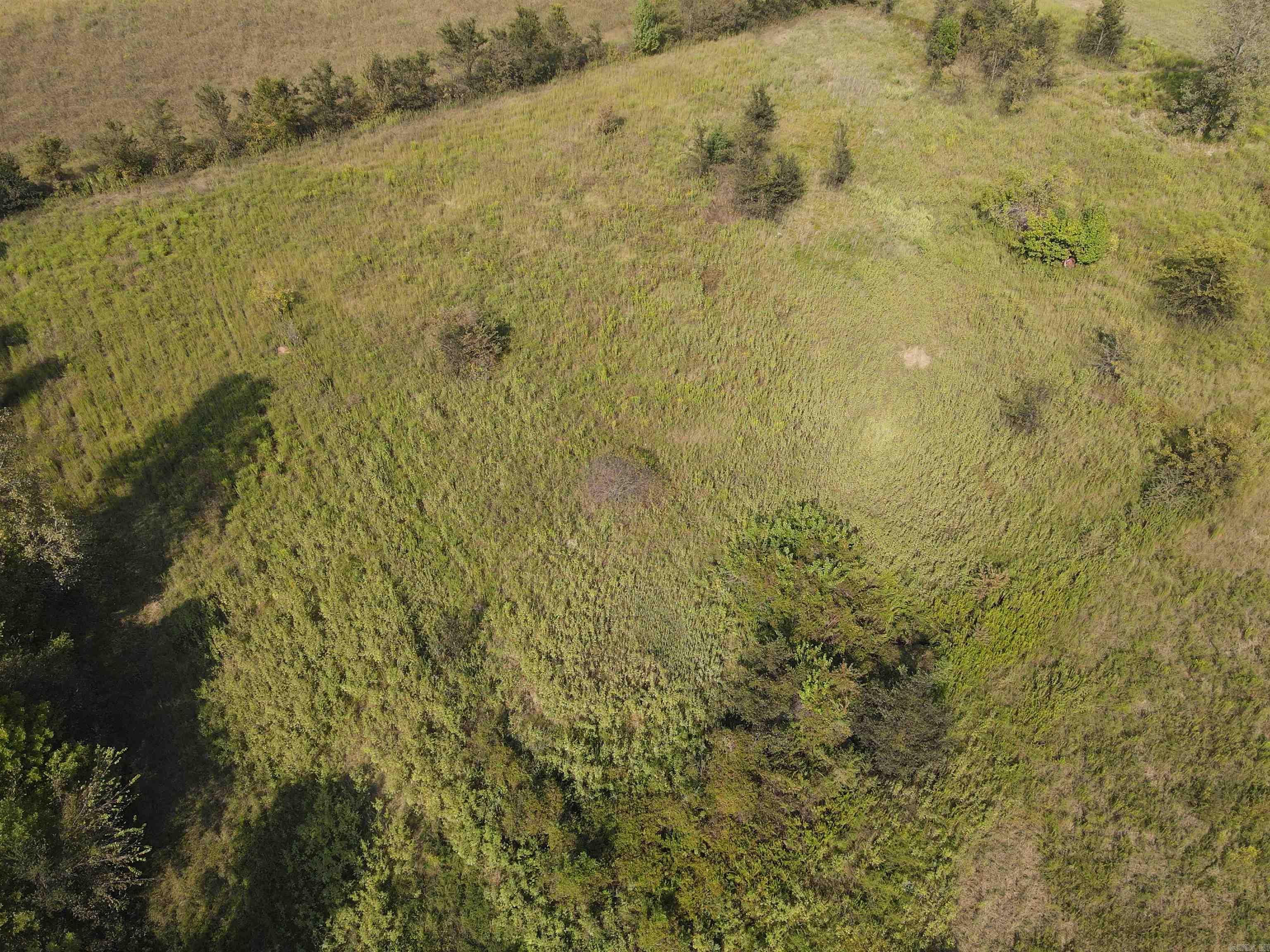 BROWN PLANTATION - Residential