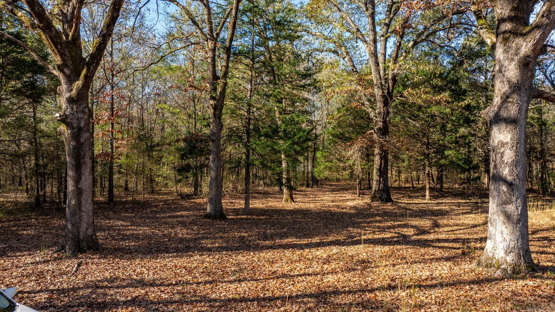 EL PASO ESTATES S/D (NEWBERRY) - Residential