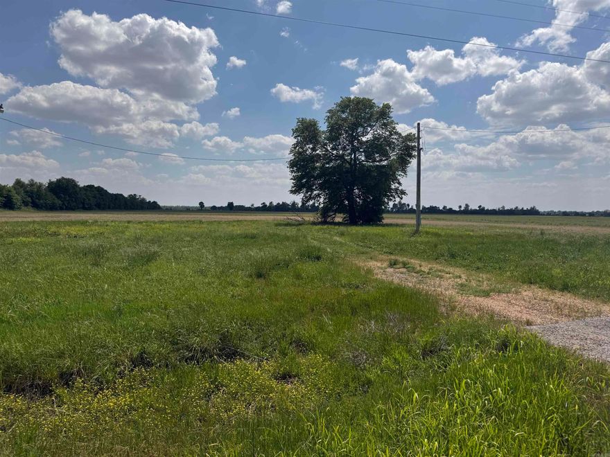 Discover the perfect blend of peaceful country living and convenient access to town with this beautiful 5-acre tract located just minutes from Marked Tree. Whether you're looking to build your dream home or create a private retreat, this property offers the space and flexibility to make it your own.  Situated on a paved road with utilities available at the road, this property is ready for your vision and simplifies the building process. Enjoy wide open skies, room to roam, and the tranquility of rural surroundings while still being just a short drive from shopping, schools, and everyday amenities.  With plenty of space for a home, shop, garden, or recreational use, the possibilities are endless. If you’ve been searching for the ideal spot to enjoy country living without sacrificing convenience, this is it.