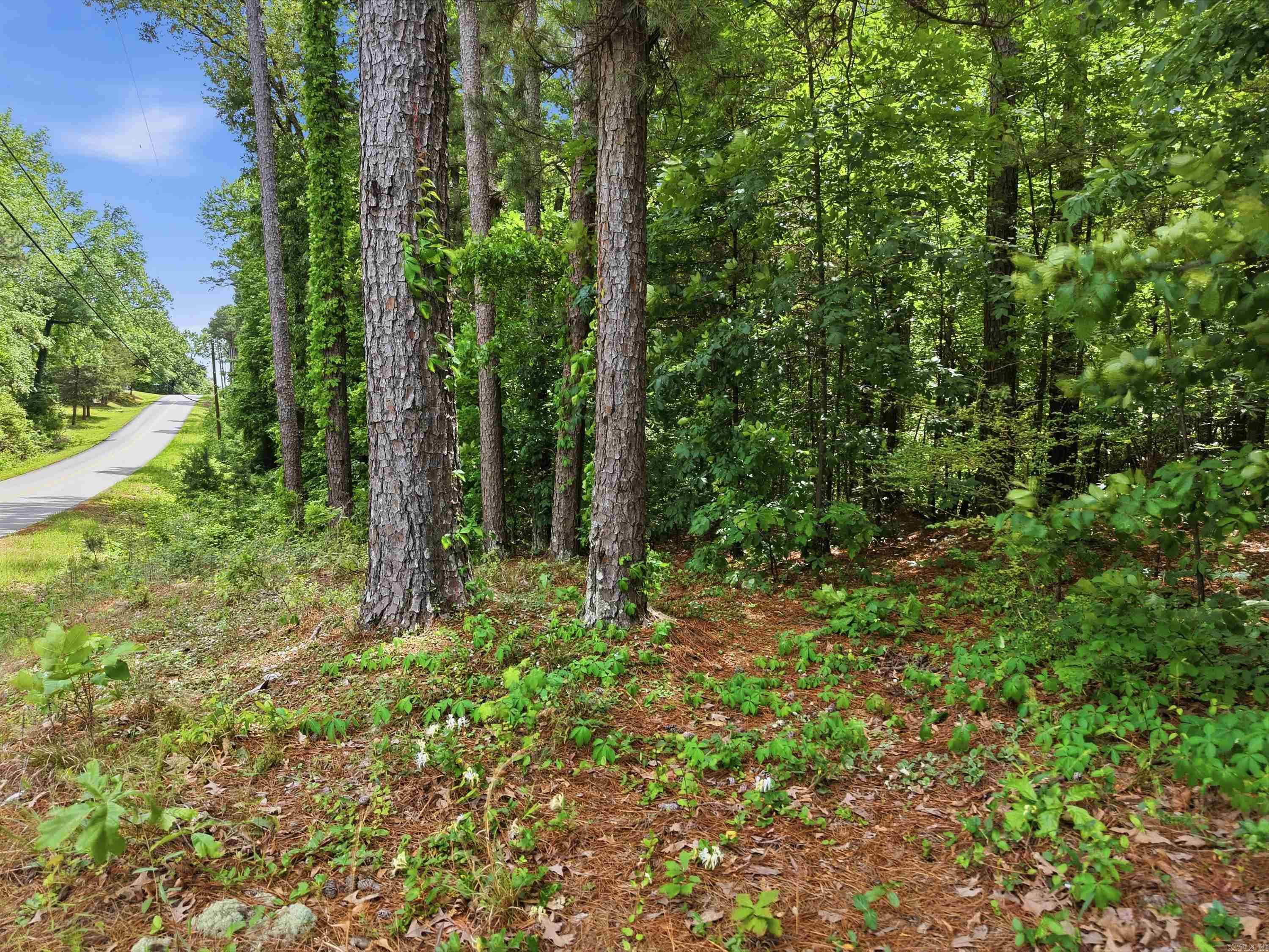 Not in Subdivision - Land